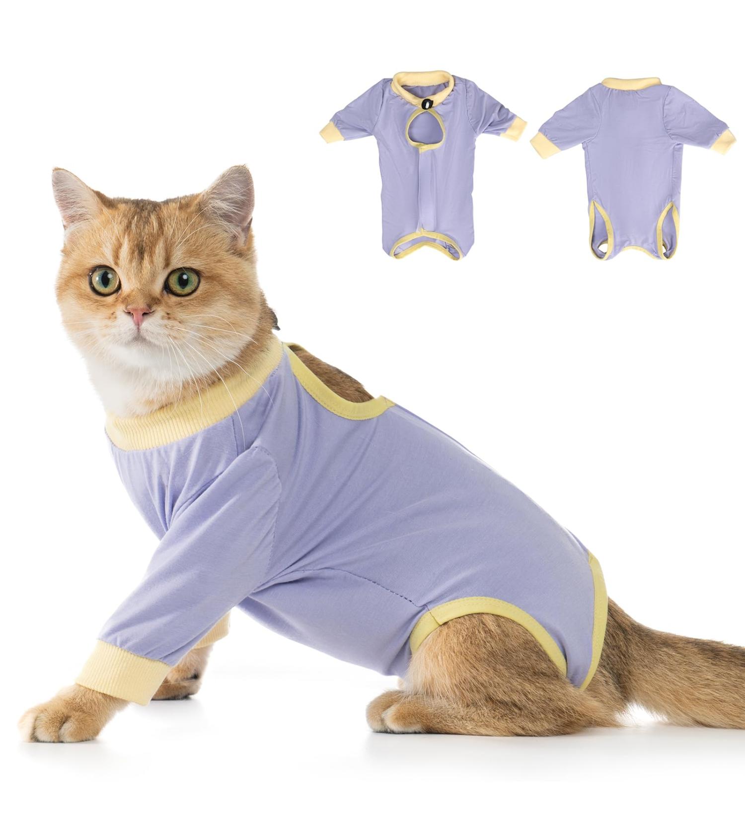 Avont Katzenbody: Modal Recovery Suit for Cats - Post-Surgery Spay & Weaning Protection - Lavender S - Buy Online on GoSupps.com