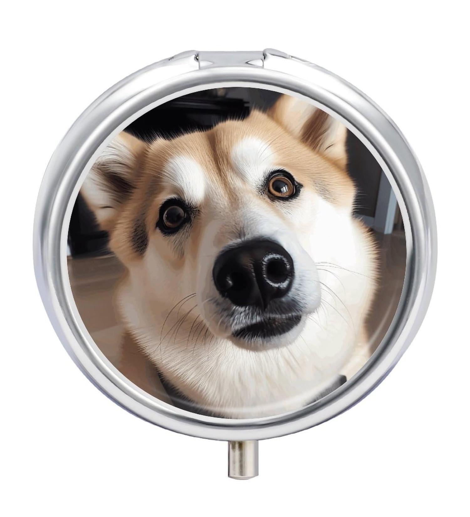 Round Animal Dog Photo Pill Box | 3 Compartment Decorative Portable Medicine Organizer - Buy Online on GoSupps.com