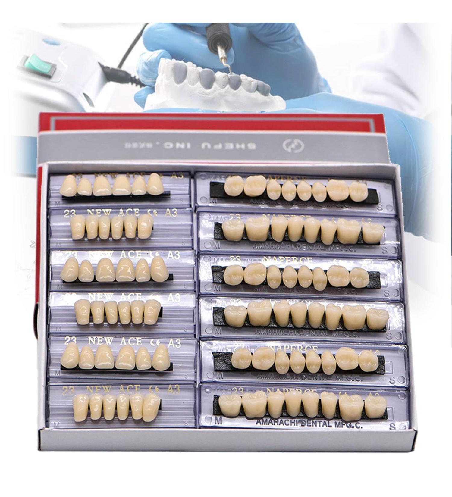 Buy Mttxy 168-Piece Complete Acrylic Resin Artificial Teeth Set - 23 Colors A3 | Upper & Lower Synthetic Polymer Prosthesis for Optimal Dental Solutions - Buy Online on GoSupps.com