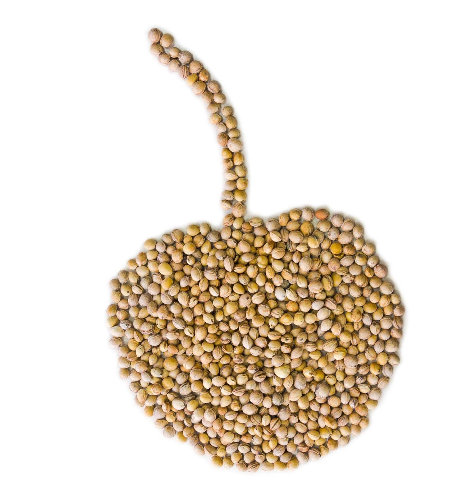 Premium 2 kg Cherry Nuclei for Baking & Cooking | International Shipping Available - Buy Online on GoSupps.com