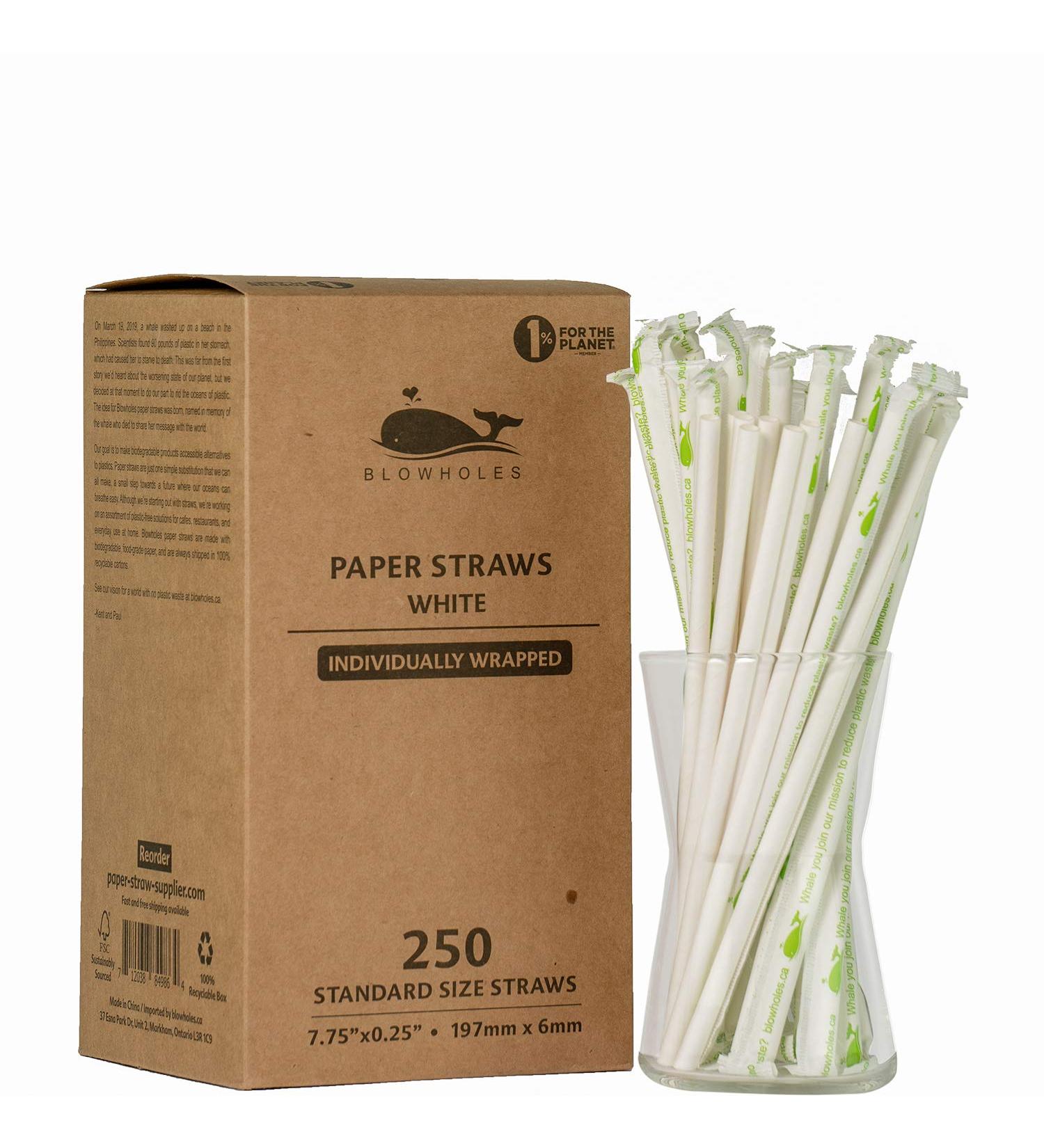 Blowholes Standard Size Eco-Friendly Sturdy Paper Straws (individually wrapped) 250 Count - White - Buy Online on GoSupps.com