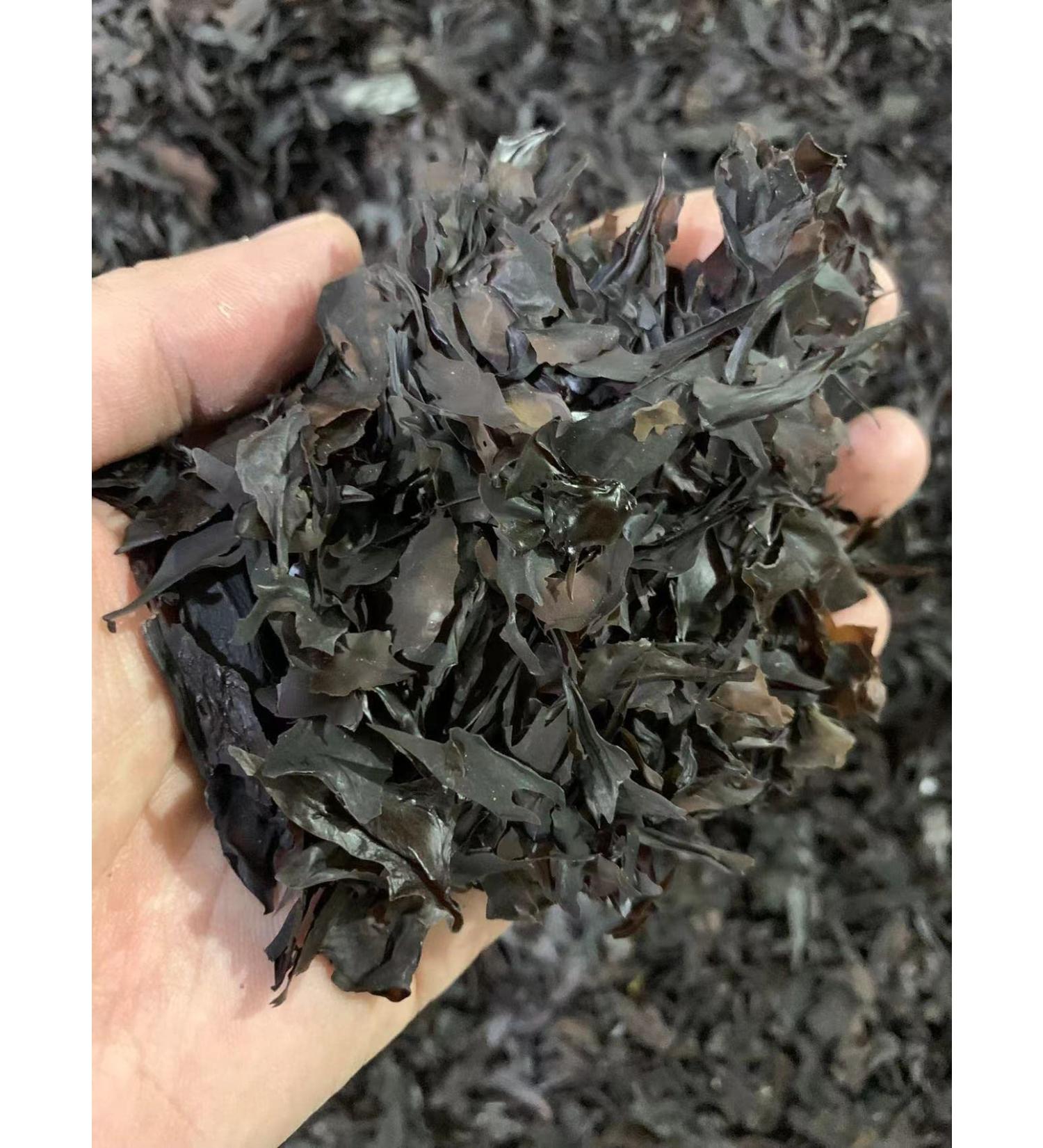 Dried Dulse Rhodymenia Palmata Flakes - Buy Online on GoSupps.com