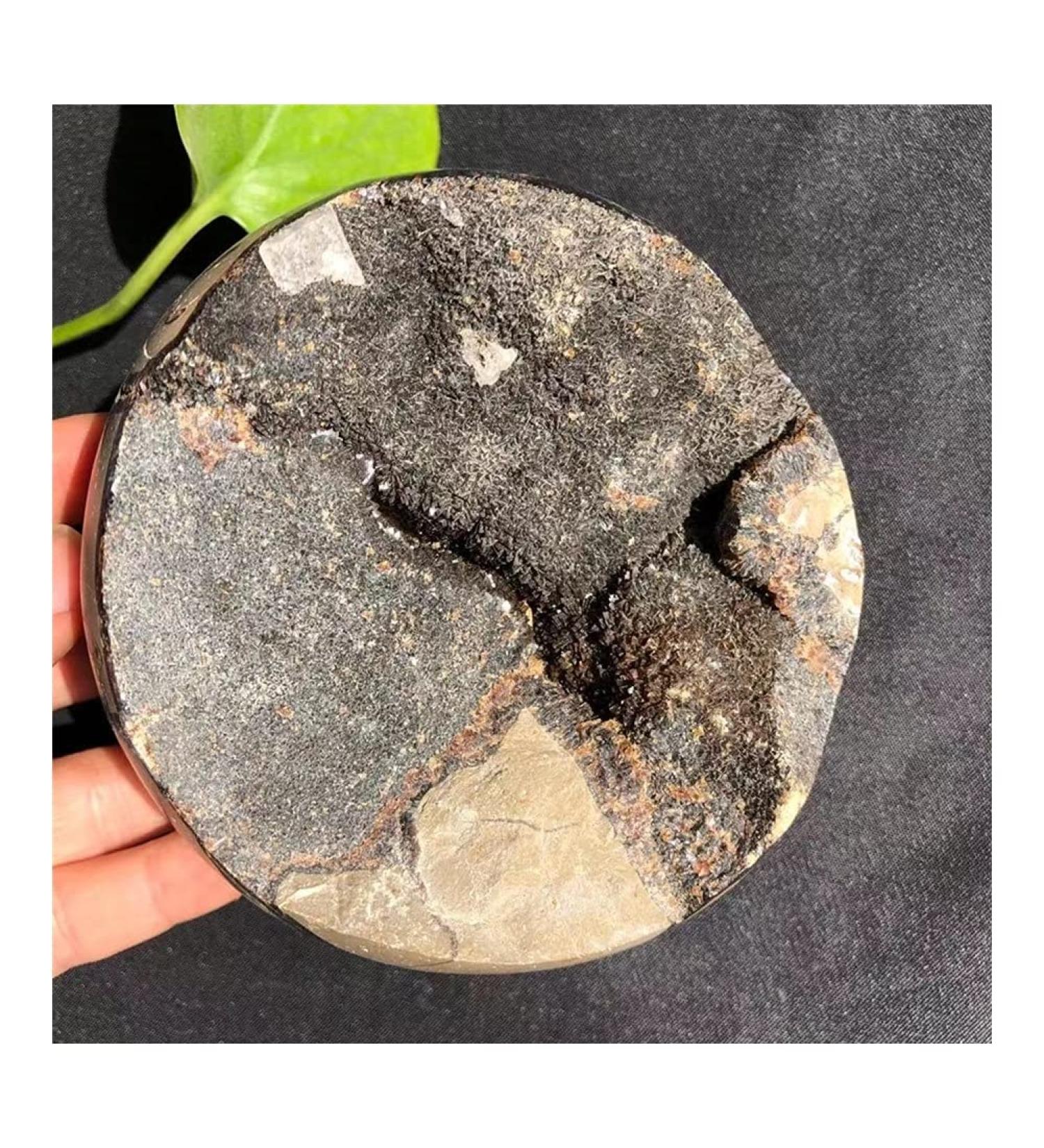 FUERLI Natural Stones and Minerals Large Beautiful Dragon septarian geode Egg Around 200-1000g Home Decoration Very (Size : 400-500g) HOMEZHOU (Size : 500-600g) - Buy Online on GoSupps.com