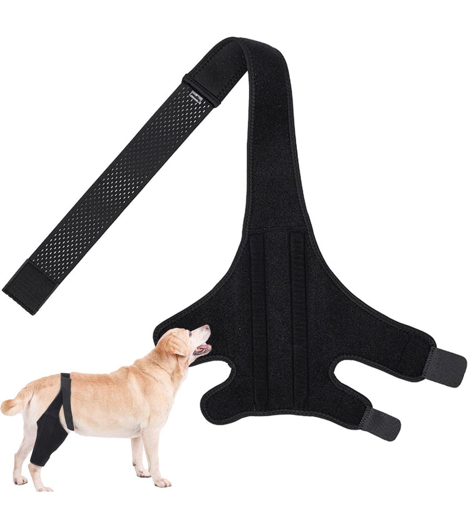 Dog Knee Brace | Dog Back Leg Brace - Back Leg Hip Support with Metal Strip High Elasticity Breathable Leg Protector for Recovery Period Pochy Black X-Small - Buy Online on GoSupps.com