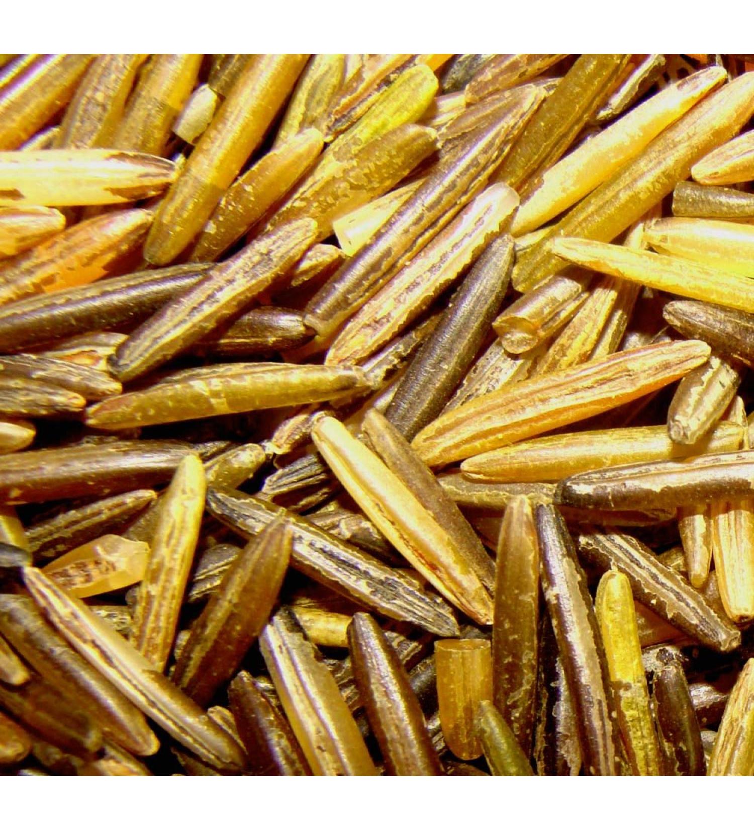 1 LB MN Wild Rice - Hand Harvested & Wood Parched by American Indian - All Natural - Buy Online on GoSupps.com