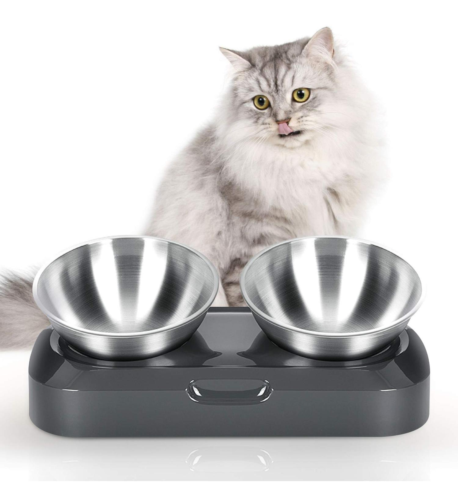Jemirry Elevated Cat Bowl - Anti-Vomiting 15 Tilted Raised Stainless Steel Pet Bowls with Non-Slip Stand - Prevents Cat and Dog Vomiting, Protects Spine - Dishwasher Safe - Set of 2 Bowls - Buy Online on GoSupps.com