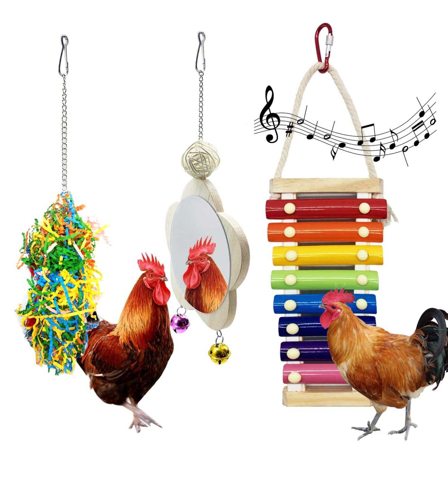 EBaokuup 3PCS Chicken Toys: Xylophone, Mirror, Bell & Foraging Shredder Toys - Best for Chicks, Hens, Parrots - Suspensible & Durable - Buy Online on GoSupps.com