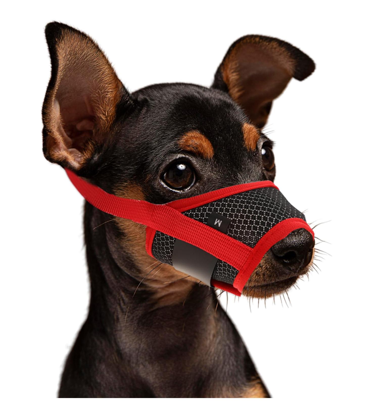 Shop Wllhyf Soft Nylon Dog Muzzle | Breathable & Comfortable Biting Chew Prevention | Adjustable Muzzle for Small Dogs (Red M) - Buy Online on GoSupps.com