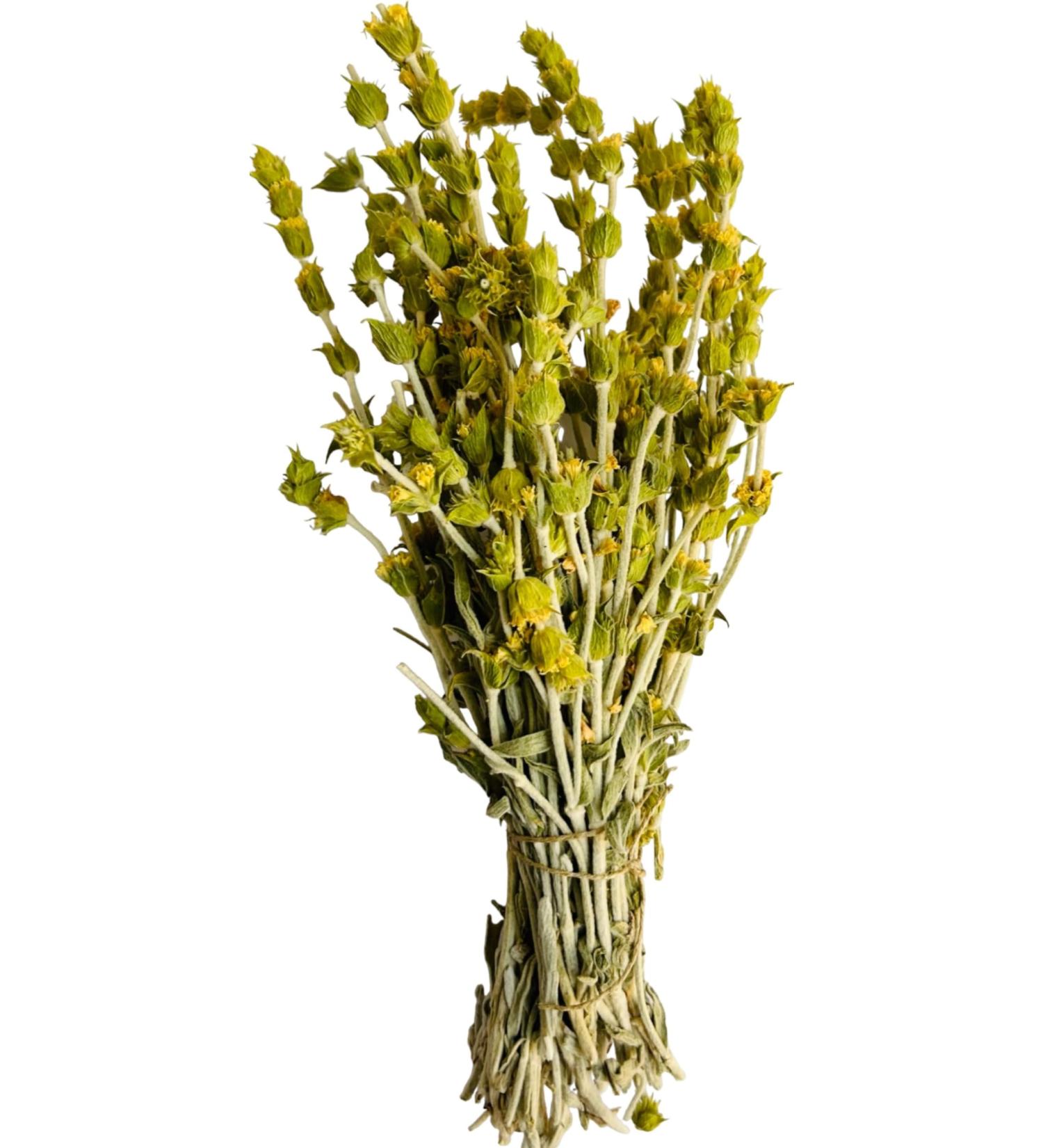 AgoraMarket Premium Greek Mountain Tea Whole Bunch 220g 195Kg Sideritis Scardica 460 grams - Buy Online on GoSupps.com