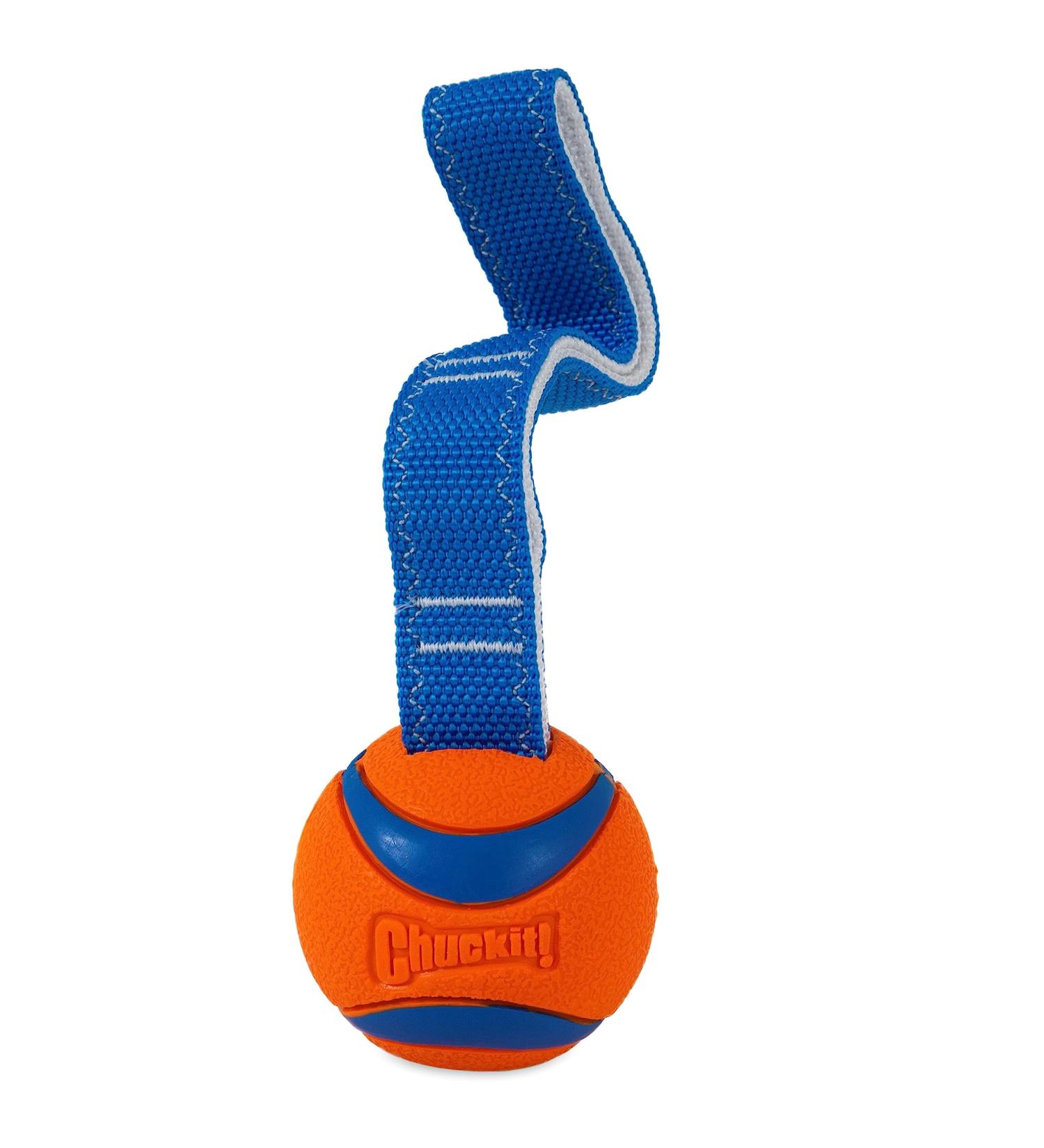 Buy Chuckit! Ultra Tug Small - Durable Toy for Dogs | Orange/Blue - International Shipping Available - Buy Online on GoSupps.com