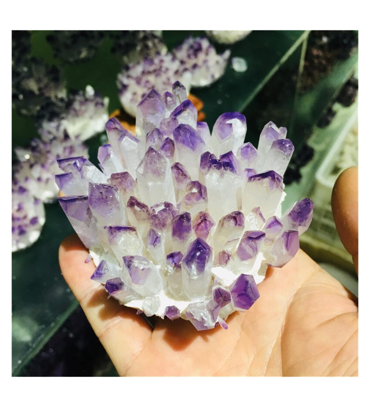 Natural Crystal Cluster Amethyst Specimen Ore Purple Quartz Reiki Stone Raw Crystal Home Decor Decoration Crystal Cluster (Size : 300-400g) - Buy Online on GoSupps.com