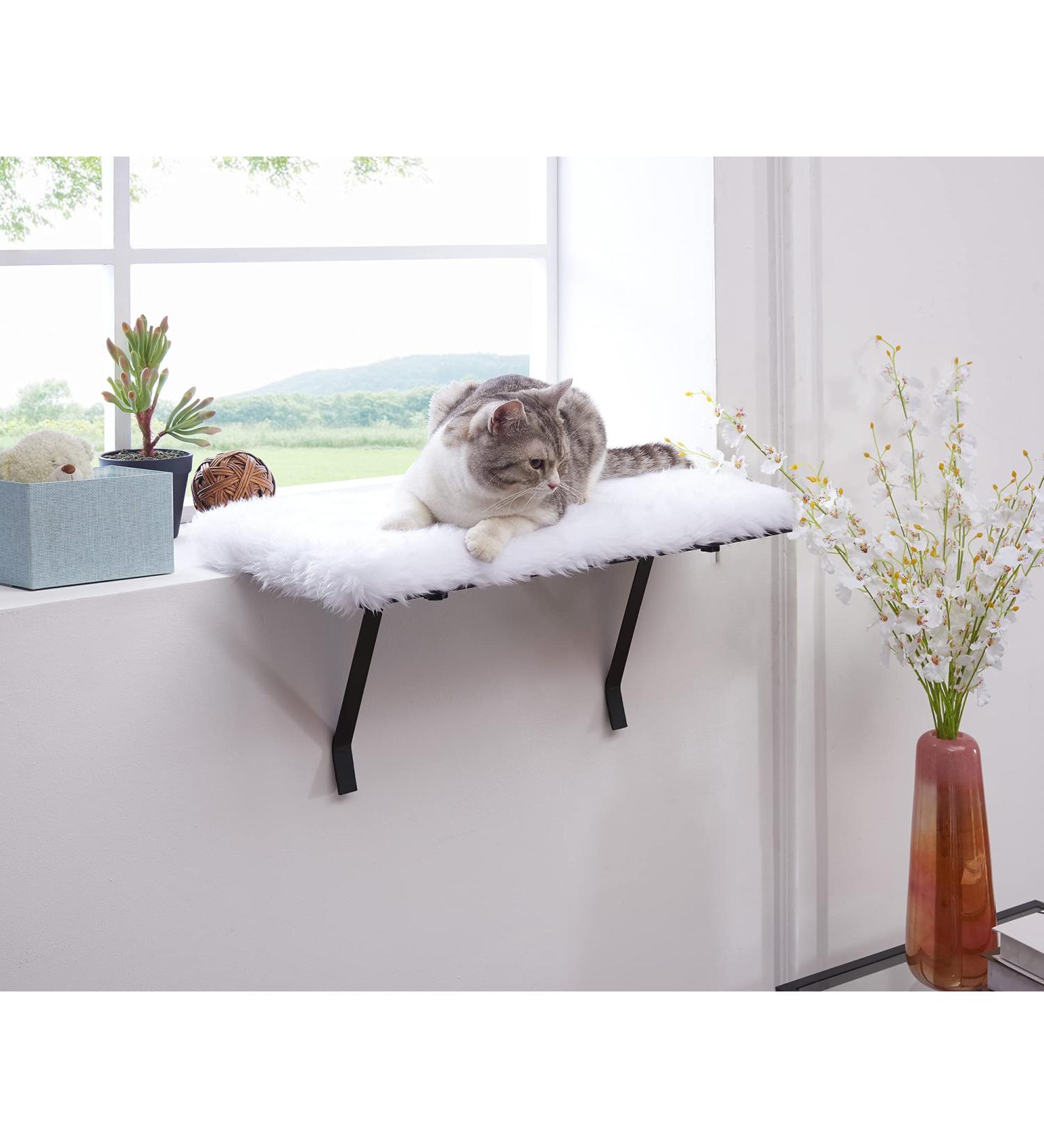 SWEETGO Cat Window Perch Shelf Bed - DIY Kitty Sill Mount, Funny Sleep Cat Seat - Washable Foam, Easy Install - Buy Online on GoSupps.com