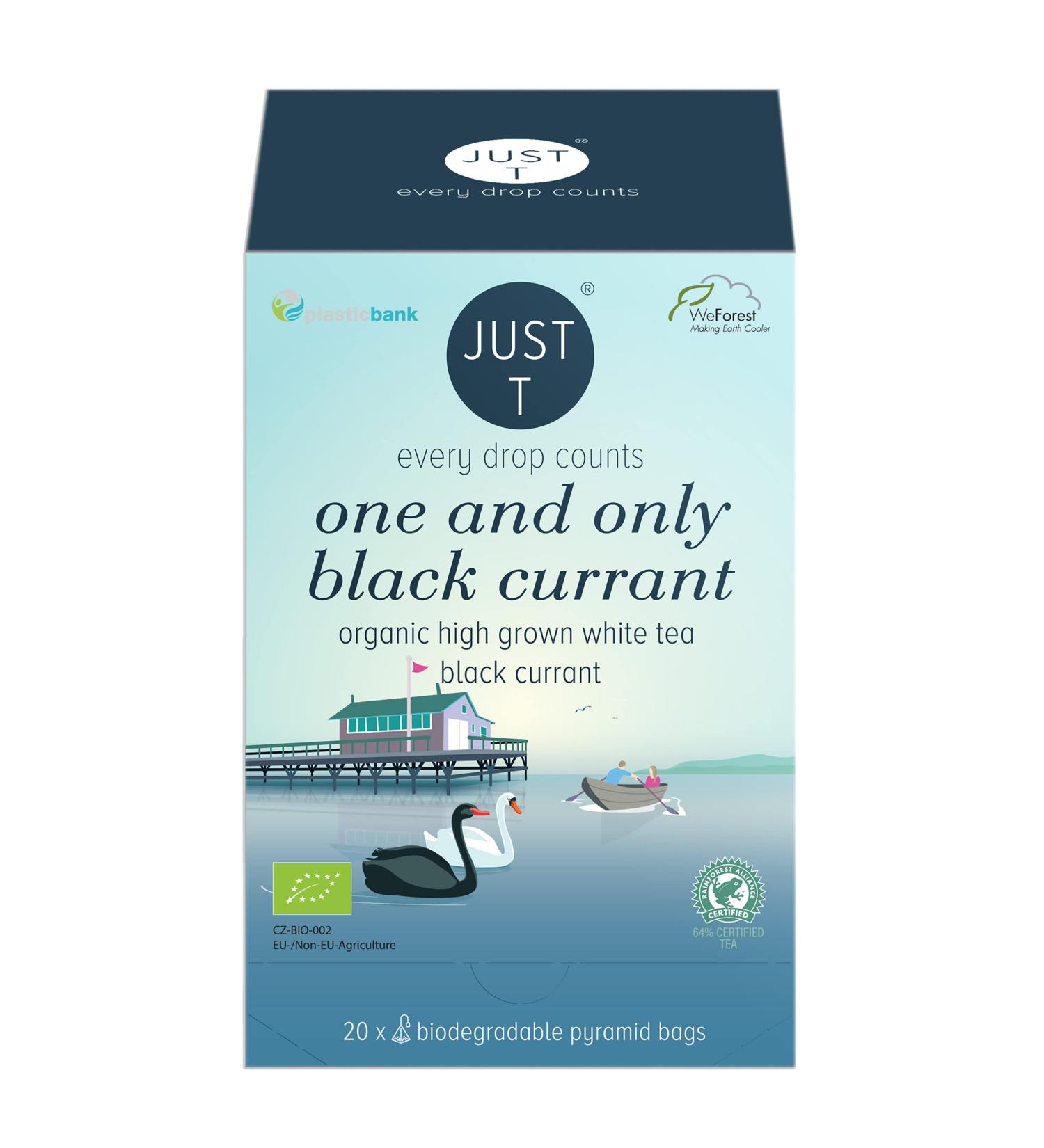 Organic Black Currant Premium Pyramid Tea Bags - 20 Count Pack | High-Grown Organic White Tea Blend | Biodegradable Tea Bags for Tea Lovers - Buy Online on GoSupps.com