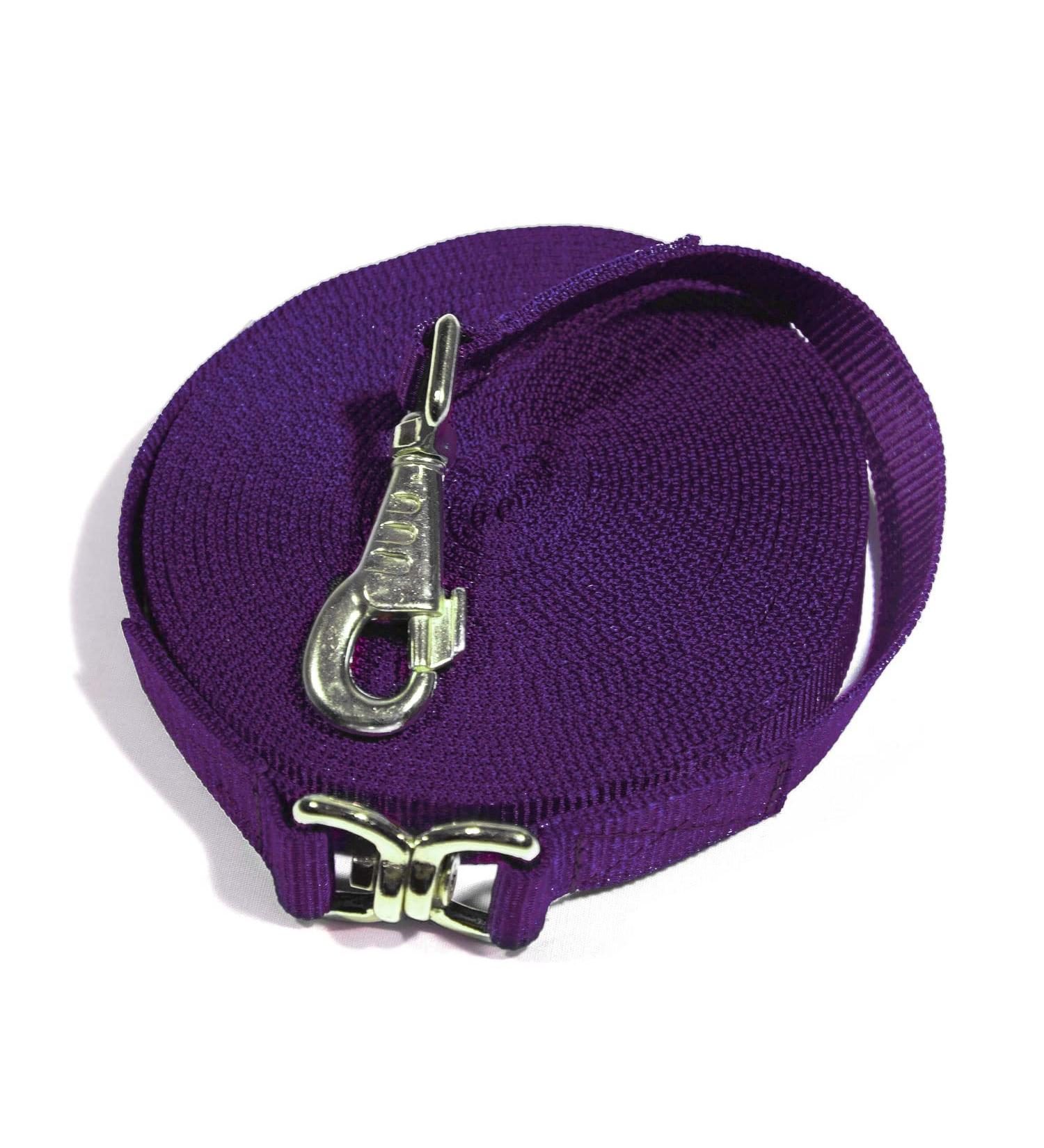 Kensington Flat Nylon Lunge Line - Horse & Dog Training Rope Equipment with Brass Swivel Bolt Snap - 1 inch x 30 ft. 30' Purple