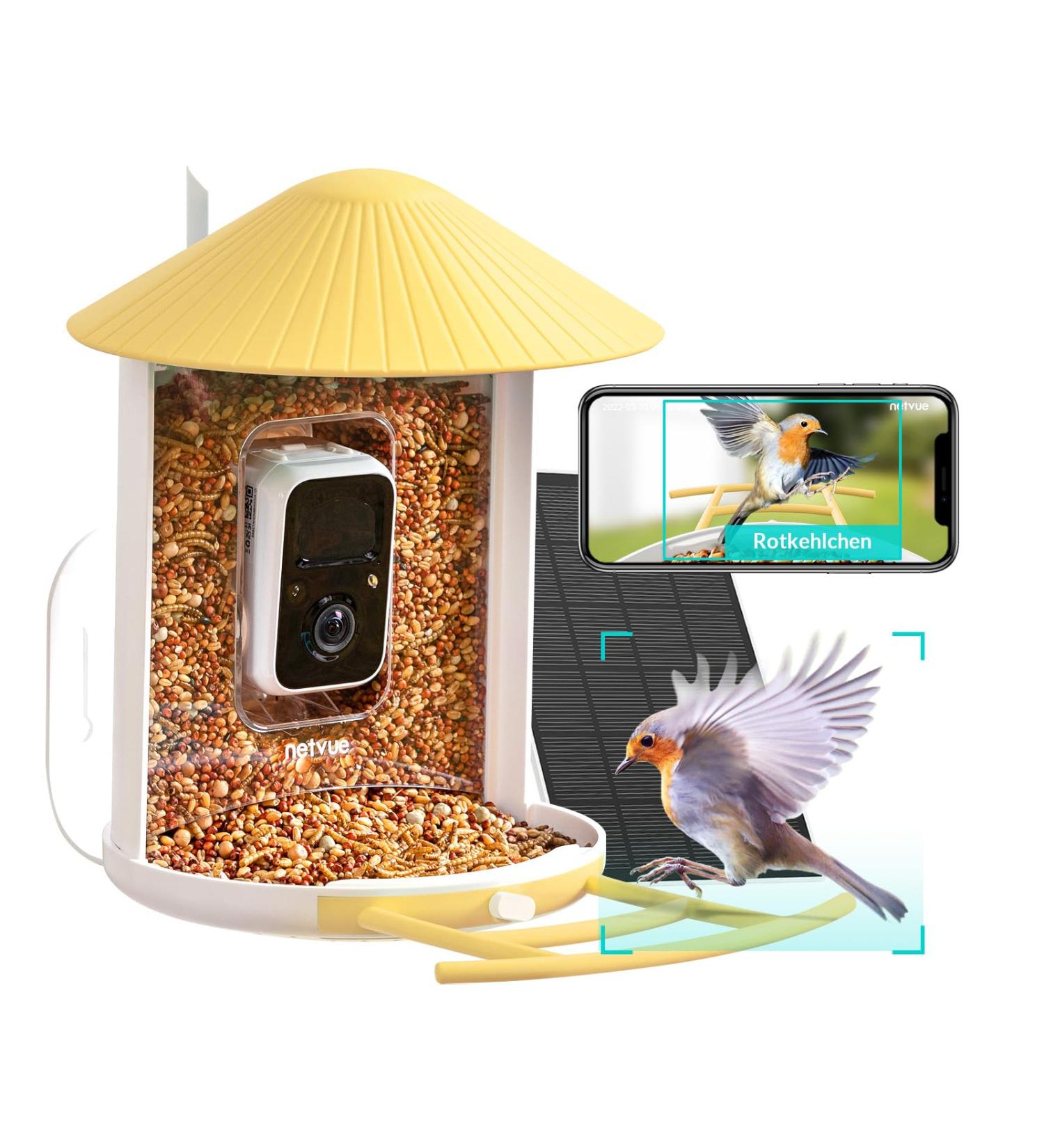 Birdfy Bird Feeder with Camera - AI Detection Video Recording & Solar Powered - Ideal for Wild Bird Feeding - Buy Online on GoSupps.com