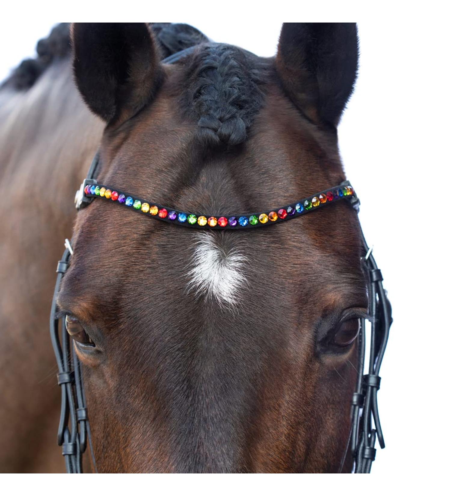 MagicTack Warmblood Browband - Bling Curved Rainbow Crystals for Horses | International Shipping Available - Buy Online on GoSupps.com