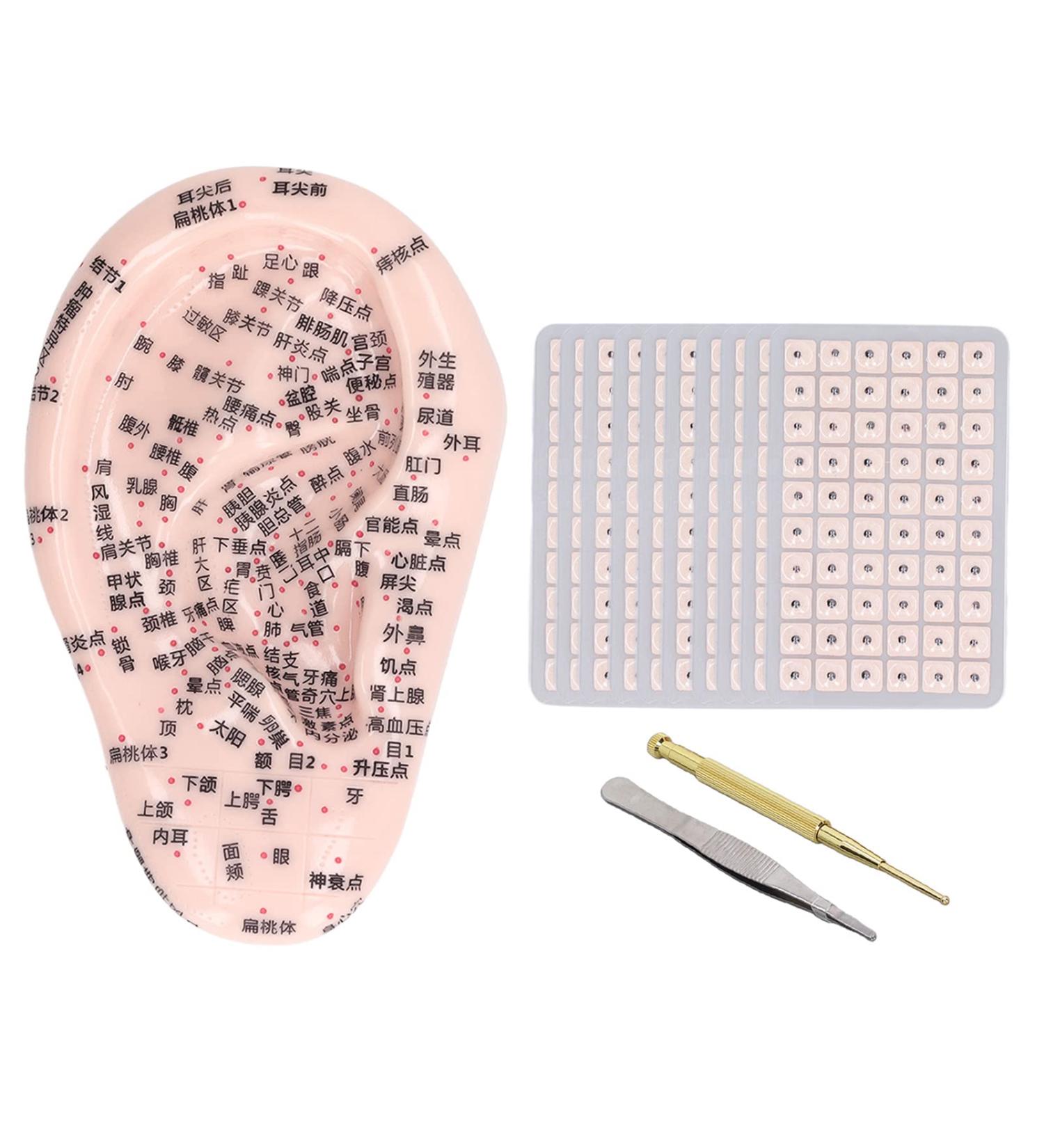 Premium Ear Acupuncture Points & Acupressure Tools - 17cm Probe & 600 Auricle Silicone Model - Buy Online on GoSupps.com