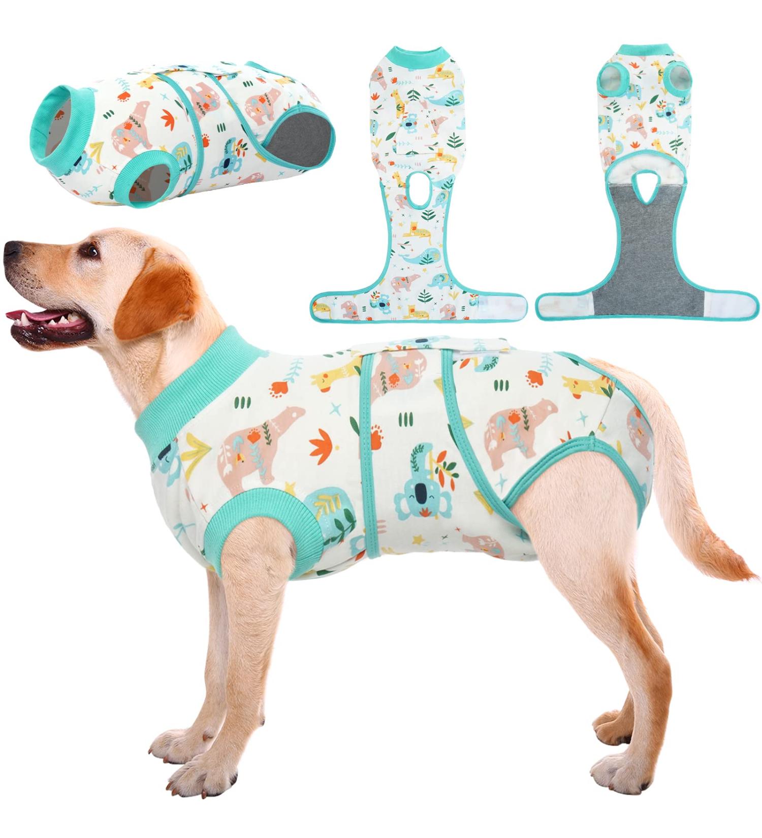Kuoser Dog Body Suit for Post-Op Recovery | Breathable & Leakage Protection for Male & Female Dogs | XL Green - Anti-Licking Comfortable & Cute | 1 Pack - Buy Online on GoSupps.com