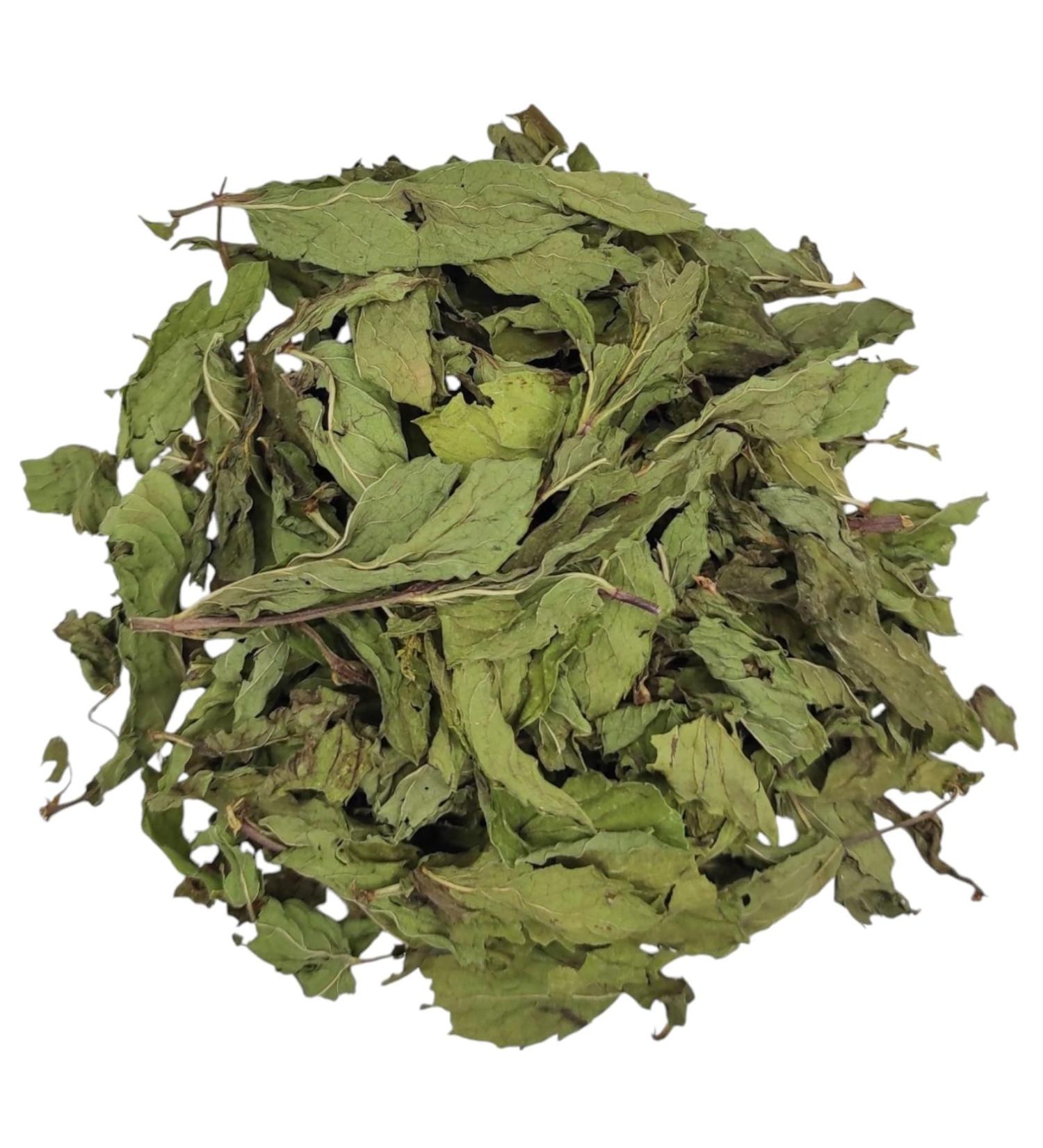 Th Menthe Verte S ch e Feuilles Enti res 85g - 1 95Kg Qualit Premium Mentha Spicata (85 grammes)