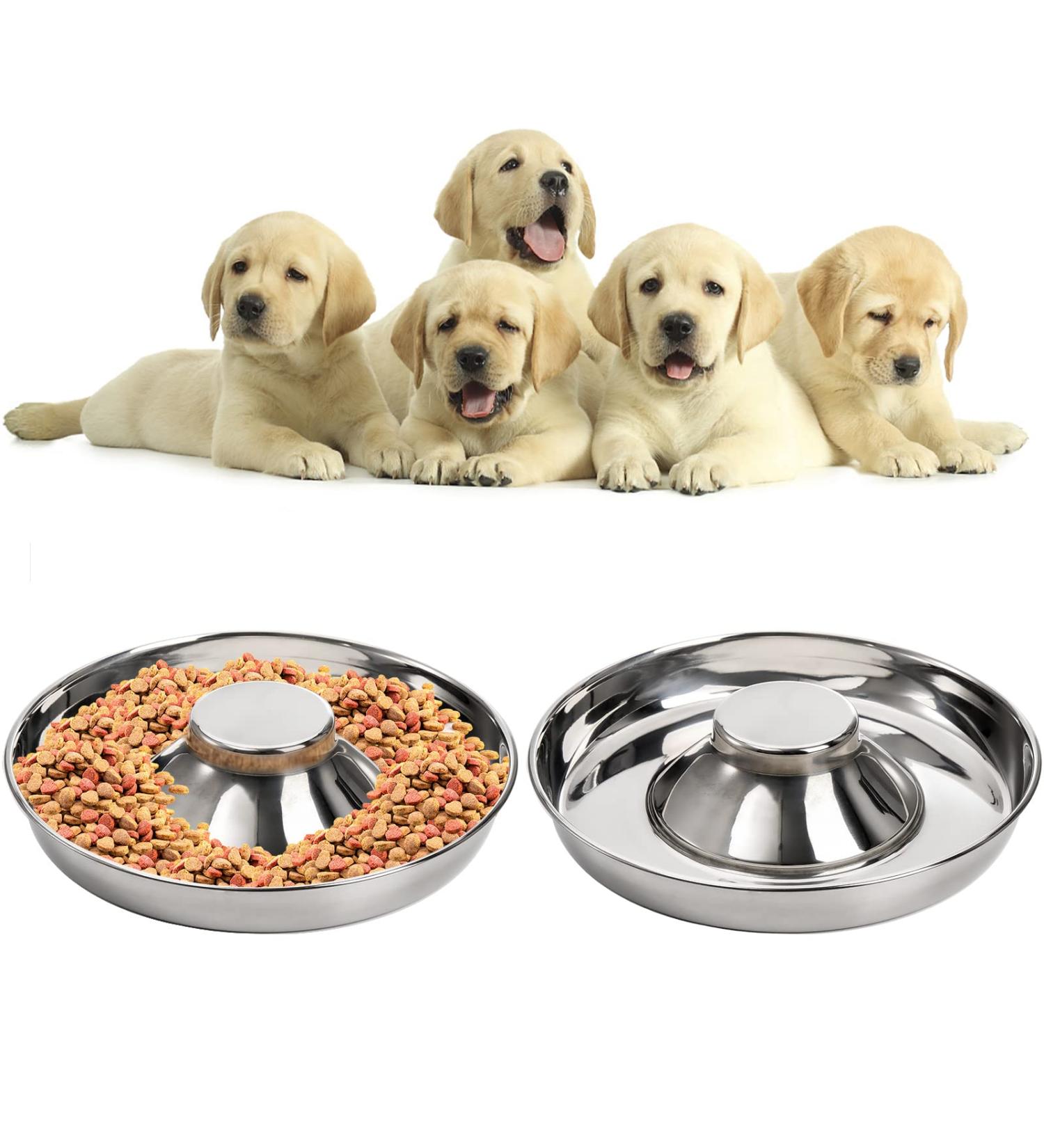 SOUJOY 2 Pack Stainless Steel Puppy Bowls Pet Slow Feeder Bowls Non-Skid Dog Food and Water Bowl Feeding Weaning for Small Medium Large Dogs Cat Pets - Buy Online on GoSupps.com