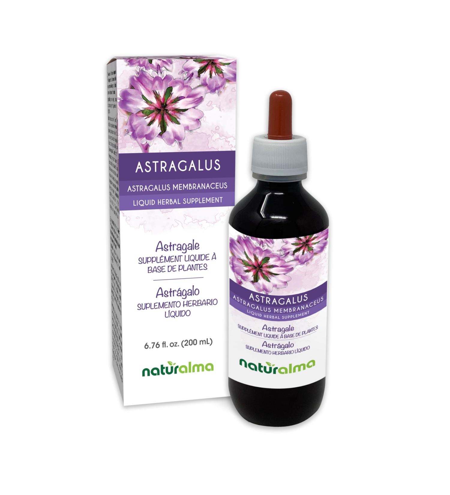 Naturalma Astragalus (Astragalus membranaceus) Root Alcohol-Free Tincture - 6.76 fl oz Liquid Extract in Drops - Herbal Supplement - Vegan Alcohol-free 6.76 Fl Oz (Pack of 1) - Buy Online on GoSupps.com