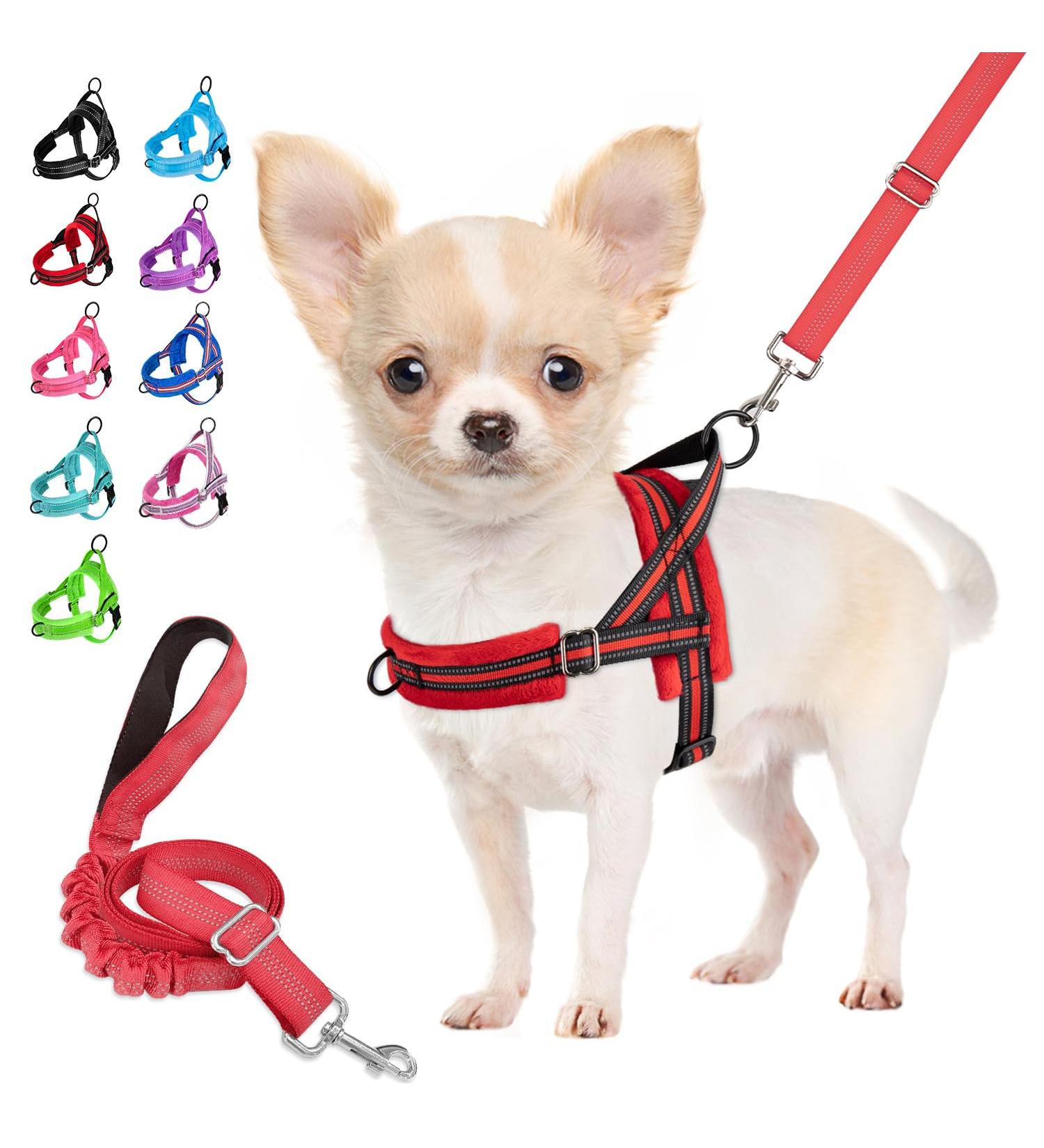 Eyein No-Pull Dog Harness & Leash - Soft Padded Reflective Adjustable for Puppies Small & Large Dogs Cats - XXS Red - Buy Online on GoSupps.com