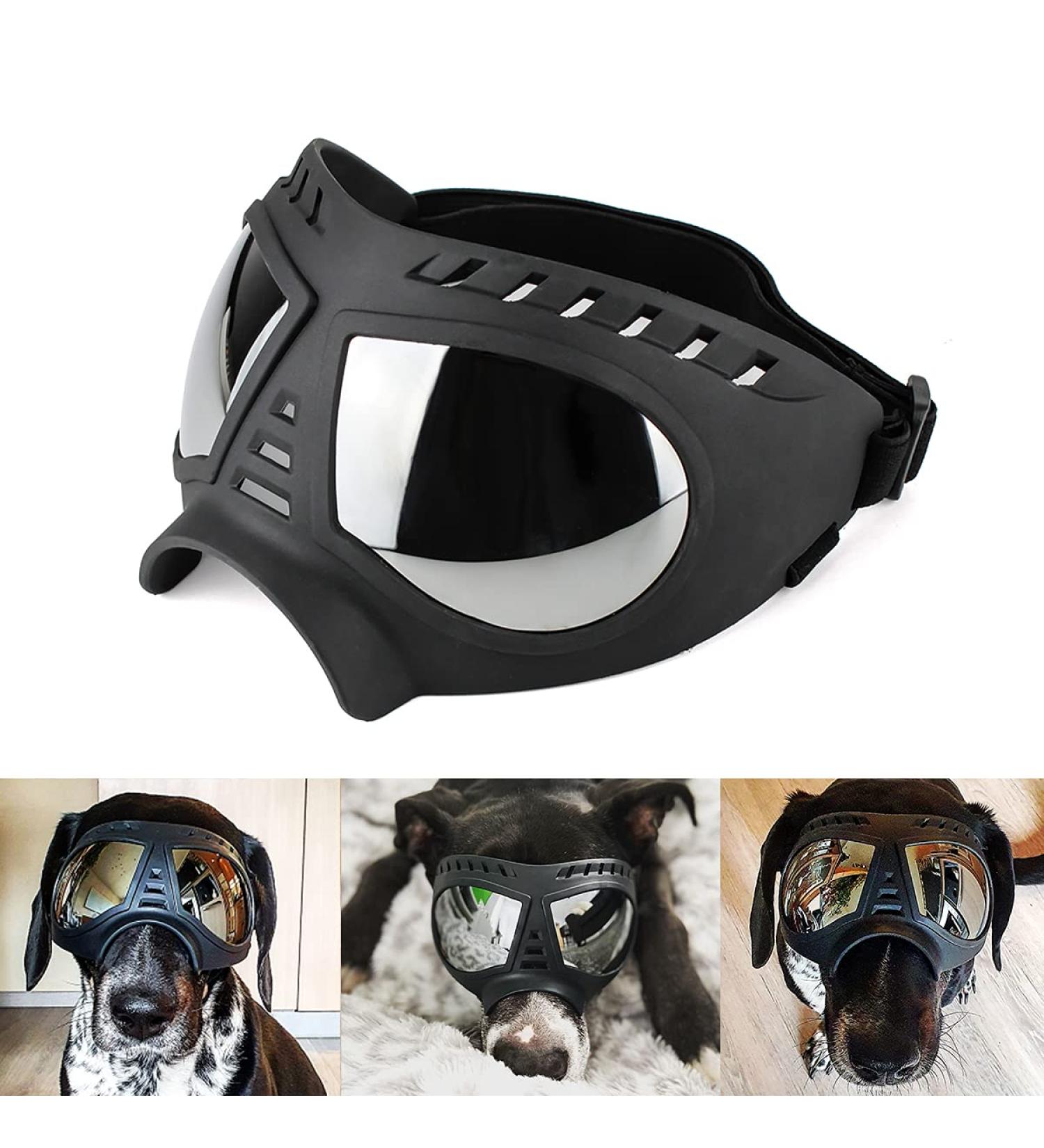 PETLESO Dog Sunglasses | Eye Protection Goggles for Large Dogs | Safety Glasses for Outdoor Activities - Buy Online on GoSupps.com