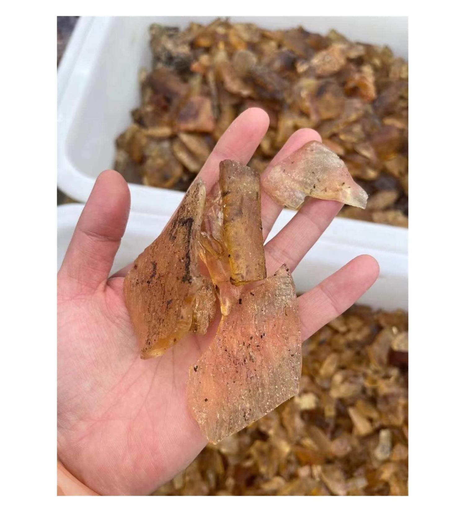 Natural Baltic Amber Loose Gemstone Rough Raw Stone Natural Resin Specimens ZJGIDTEM (Size : 50g) - Buy Online on GoSupps.com