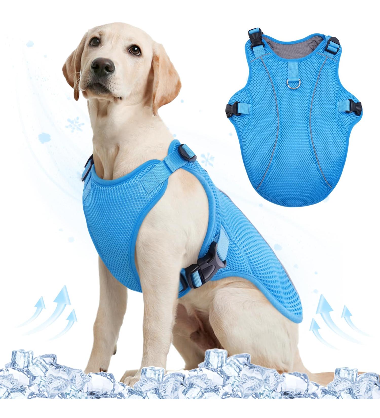 Kuoser Cool Vest for Dogs - XL Blue Cooling Jacket & Ventilated Coat for Outdoor Activities - Buy Online on GoSupps.com