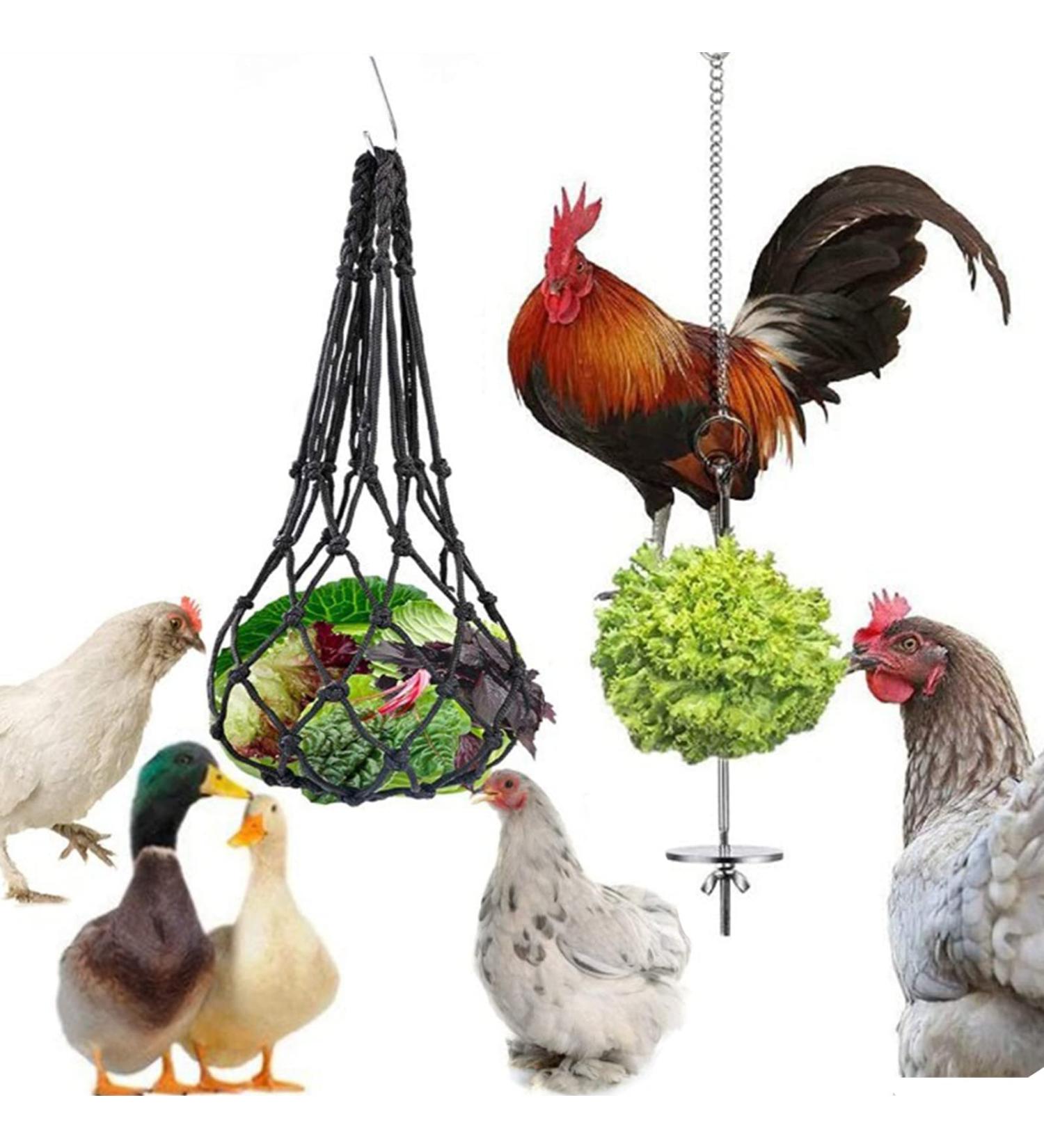 Vokowin Chicken Veggies Skewer Fruit Bag Set Hens Feeder Toy Chicken Food Stick Holder Vegetable String Bag Fruit Holder Stainless Steel Hens Large Birds Treat Skewer (K104-2) - Buy Online on GoSupps.com