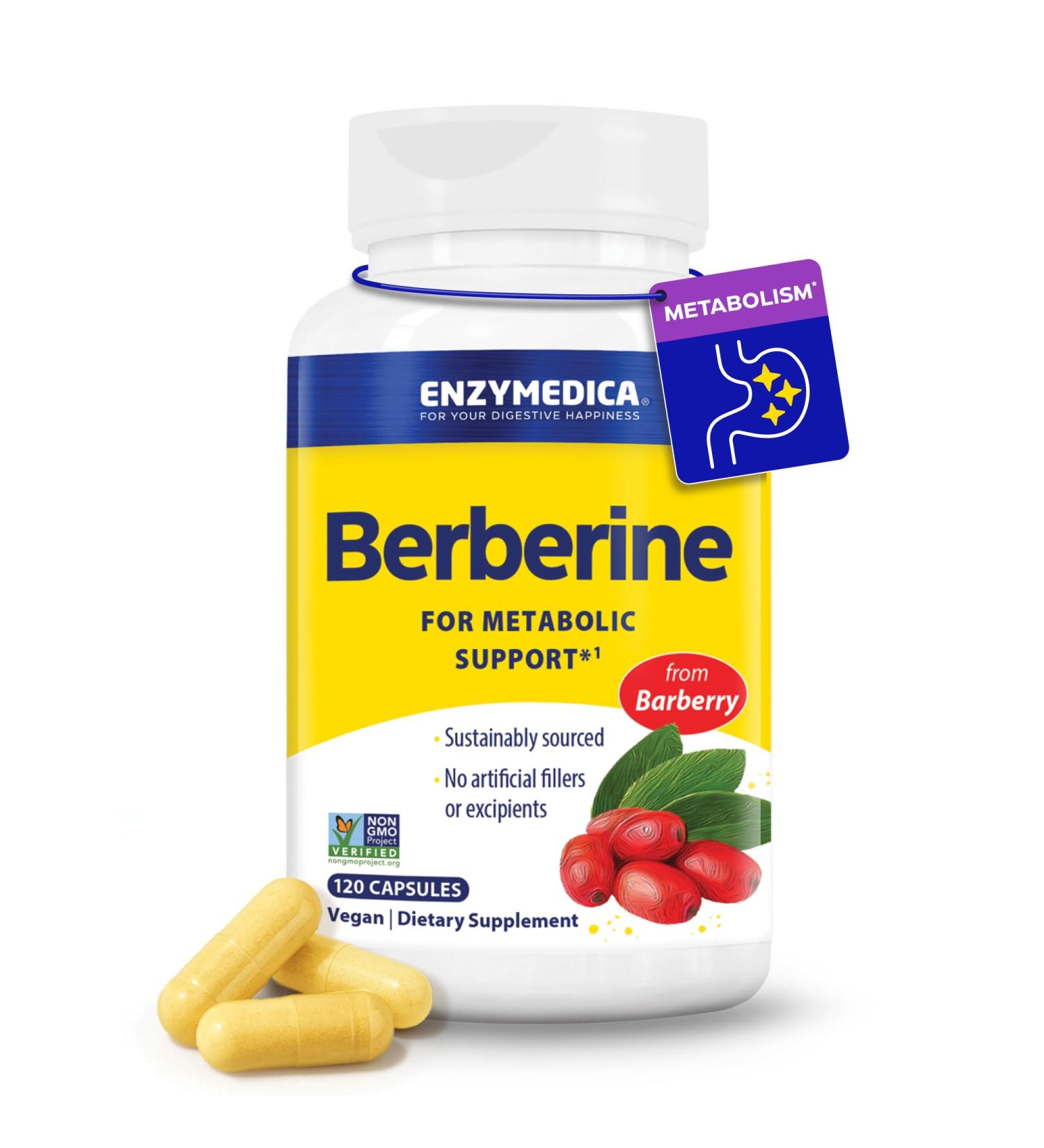 Enzymedica, Berberine Supplement HCl, 510mg, for Overall Health and Wellness, Vegan, No Artificial fillers, Clean Label, 120 Count 120 Count (Pack of 1) - Buy Online on GoSupps.com