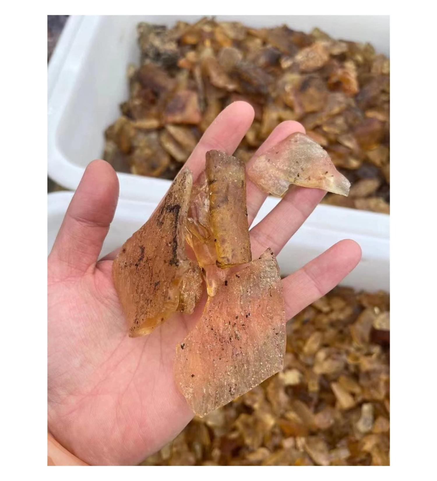 Natural Baltic Amber Loose Gemstone Rough Raw Stone Natural Resin Specimens ZJGIDTEM (Size : 50g) - Buy Online on GoSupps.com