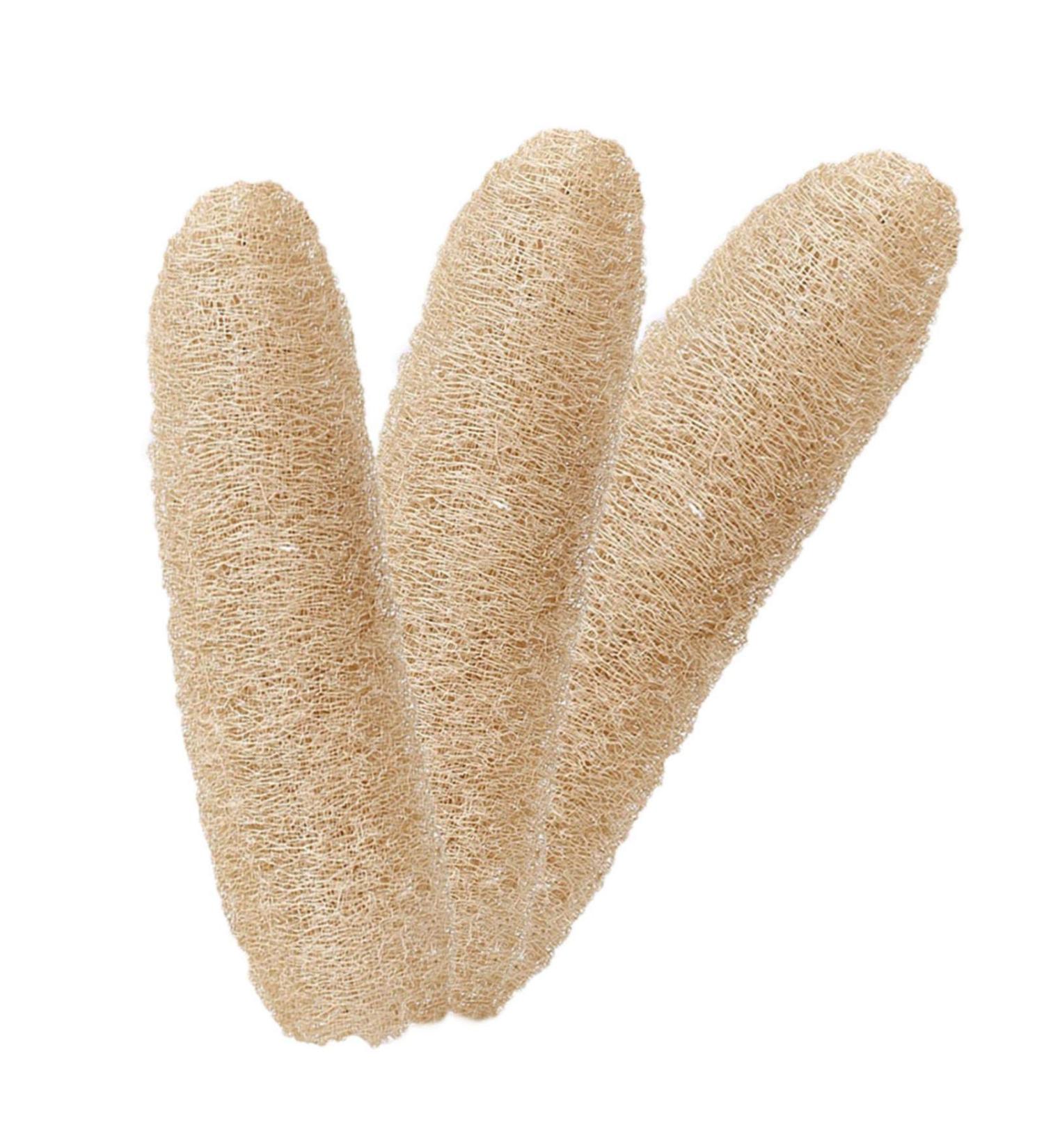 Natural Luffa Shower Sponge Set - 3 Whole Pieces for Exfoliating & Peeling | Eco-Friendly Bath & Body Washers - Buy Online on GoSupps.com