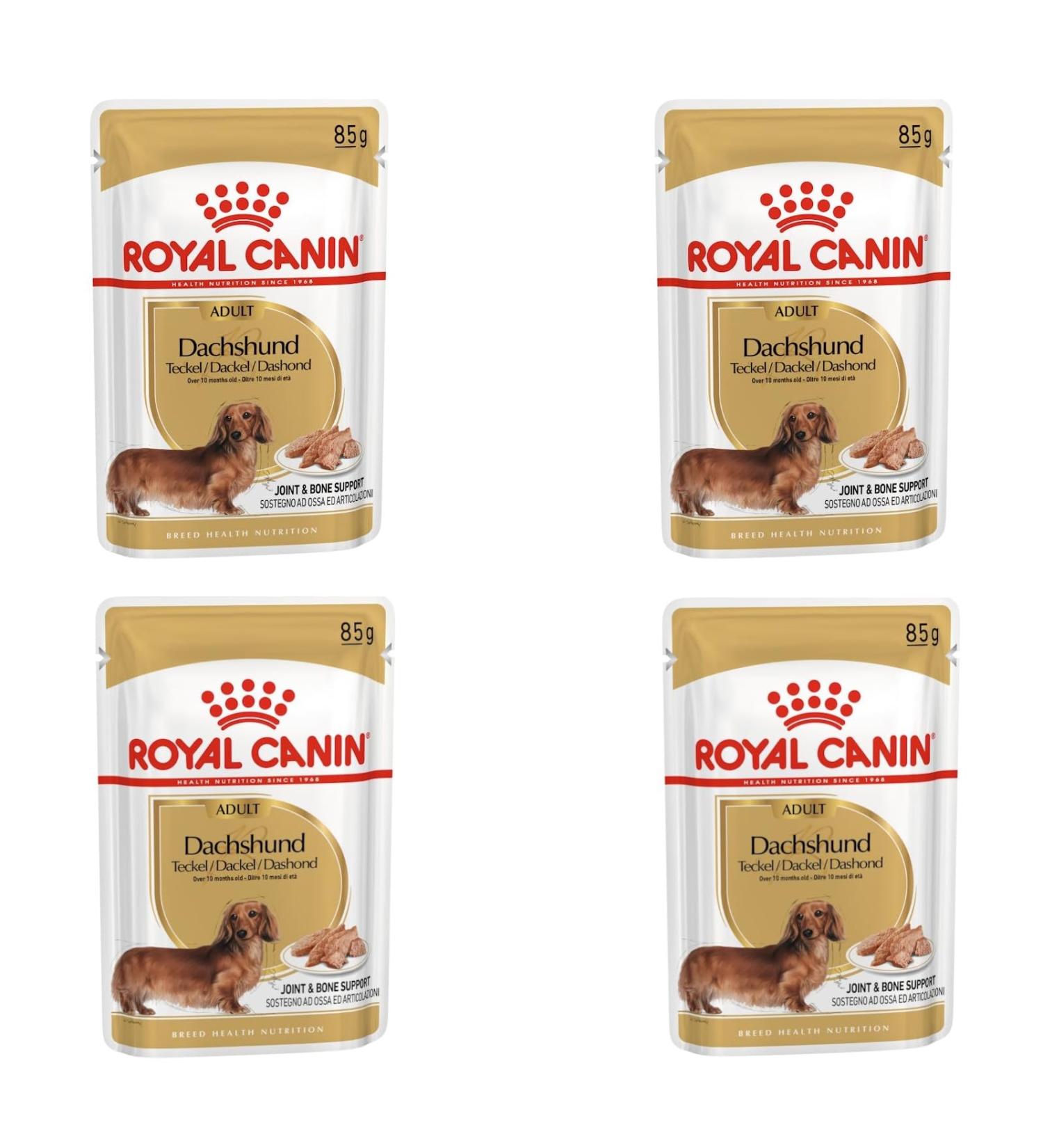 Royal Canin Dachshund Complete Adult Wet Dog Food 48 x 85g - Buy Online on GoSupps.com