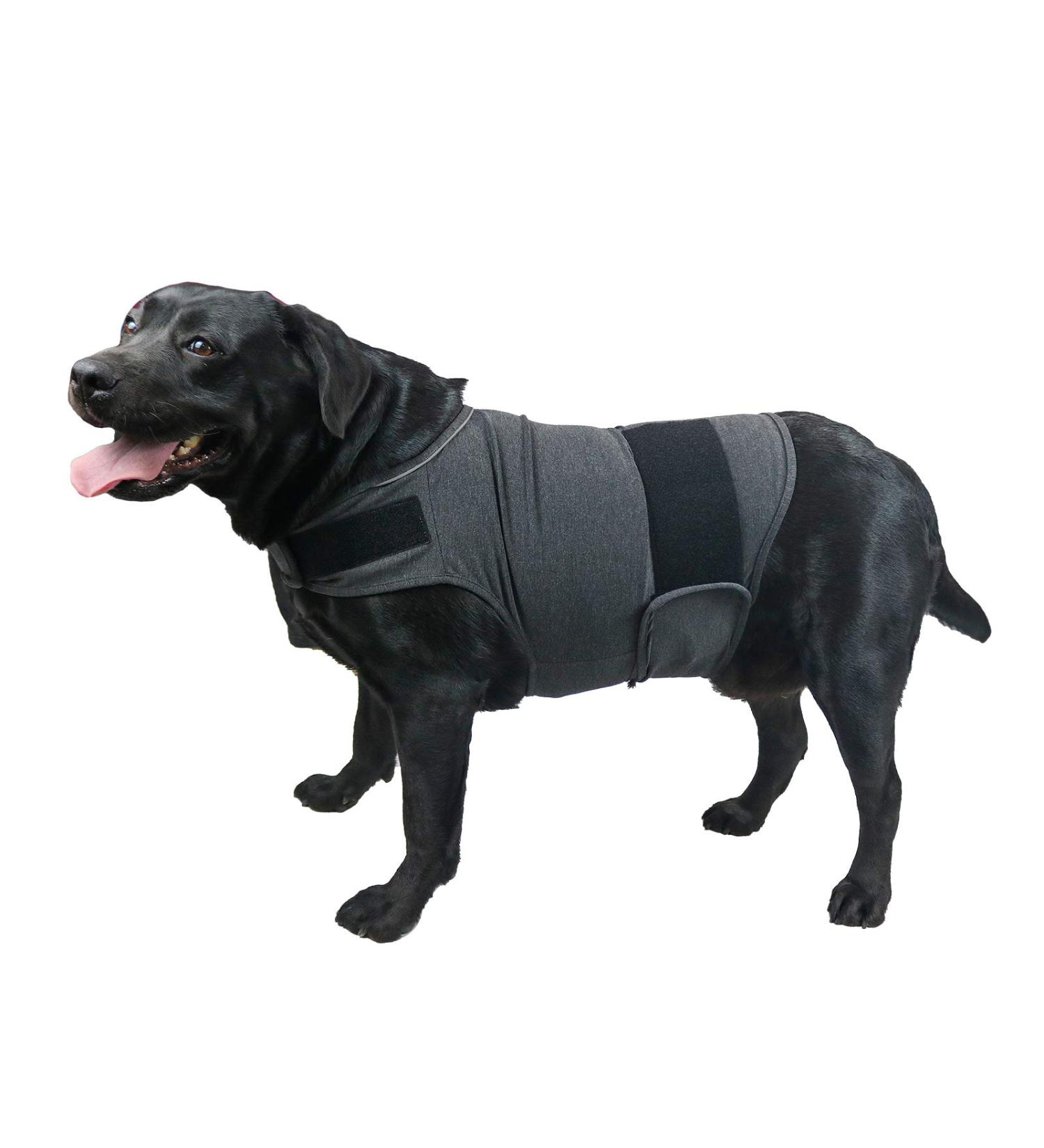 Comfortable Dog Coat for Anxiety Relief | Cattamao Calming Vest for Thunder | XS-XL Gray - Buy Online on GoSupps.com