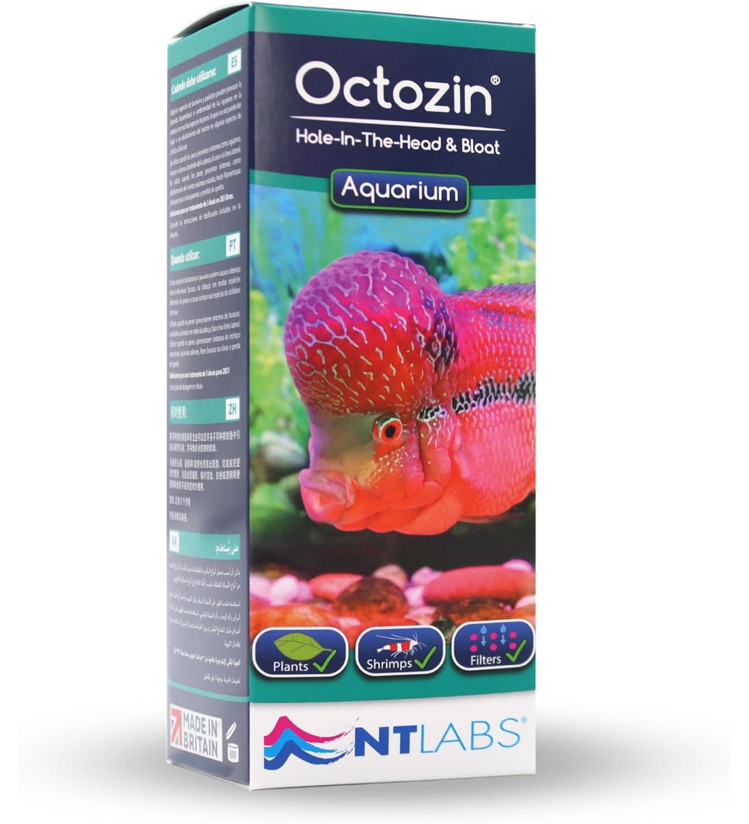 NT Labs Octozin Hole in the Head & Bloat Treatment - Treats Aquarium Fish with Bloat - 250ml - treats 3 day course of 375L - Buy Online on GoSupps.com