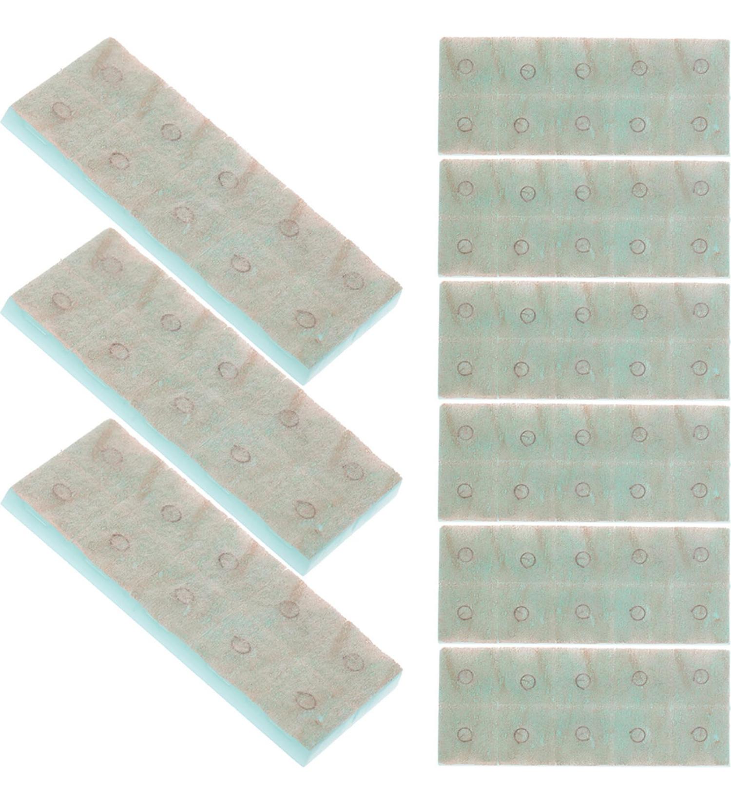 Healifty 100 Ear Pressed Needles for Weight Loss | Natural Weight Management Solutions - Buy Online on GoSupps.com