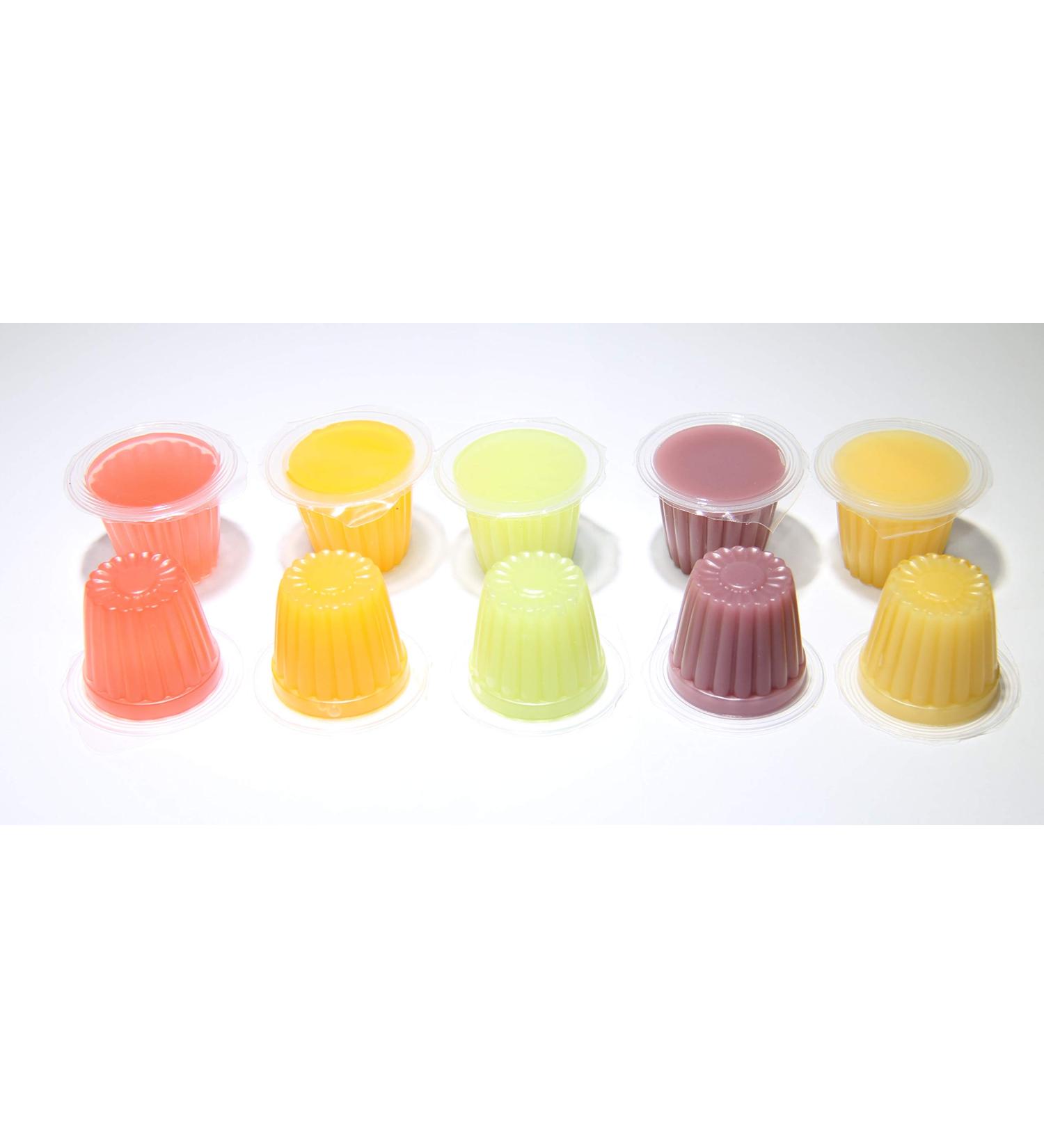 Jelly Fruit Pots Reptile Food - Protein Jelly Fruit Cups for Lizards Gecko Insects Birds Parrots - Bulk Packs (Fruit Mix 10)