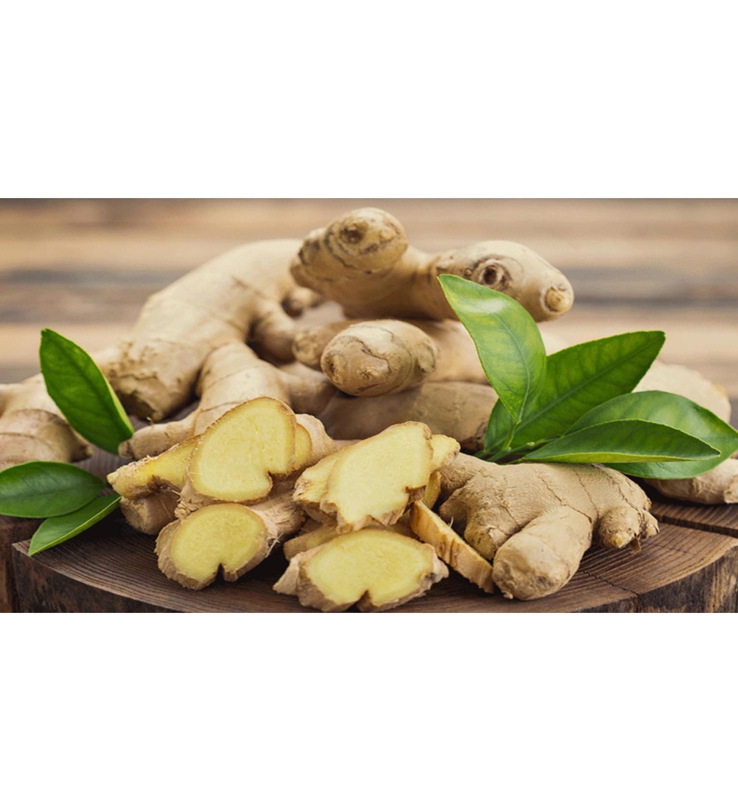 Ginger 500 gm - Buy Online on GoSupps.com