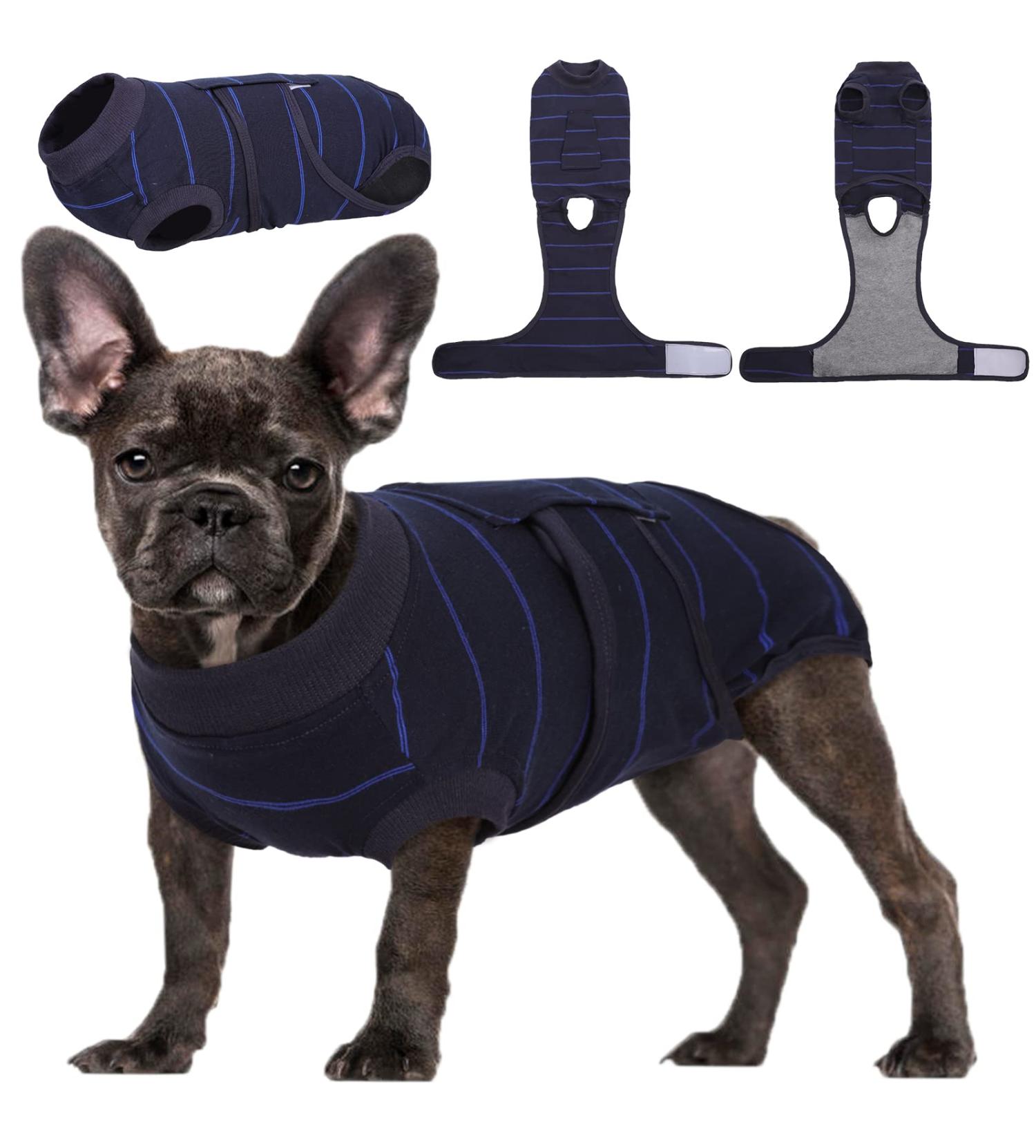 Kuoser Dog Recovery Suit | Post-Op Bodysuit for Male & Female Dogs | Breathable Anti-Wound Suit in Royal Blue - Perfect for Castration & Surgery Recovery - Buy Online on GoSupps.com