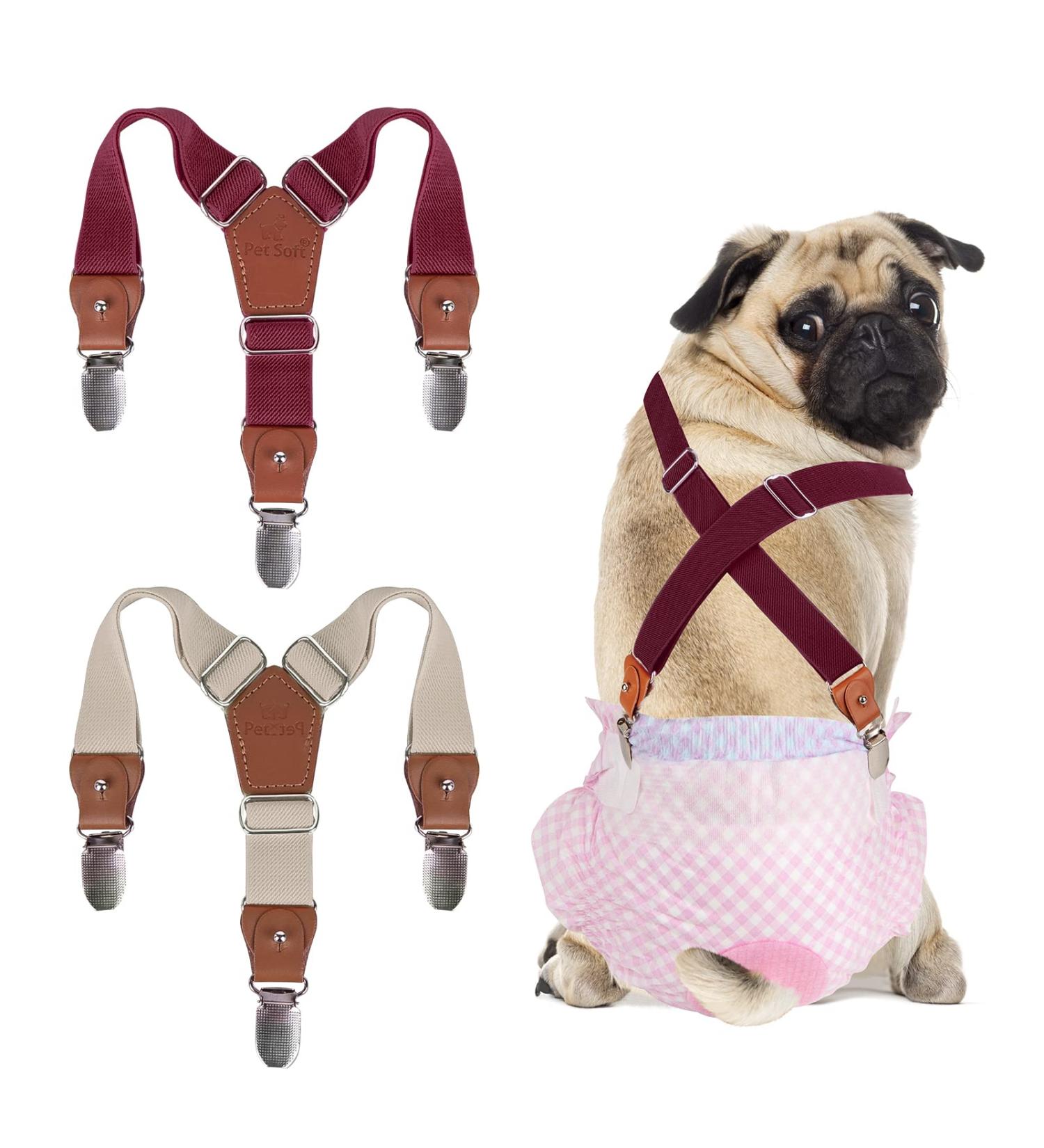 Buy Soft Dog Diaper Trousers 2 Pack Beige-Wine | Comfortable Dog Diaper Harness for Puppies | Pet Clothing for All Sizes - Buy Online on GoSupps.com