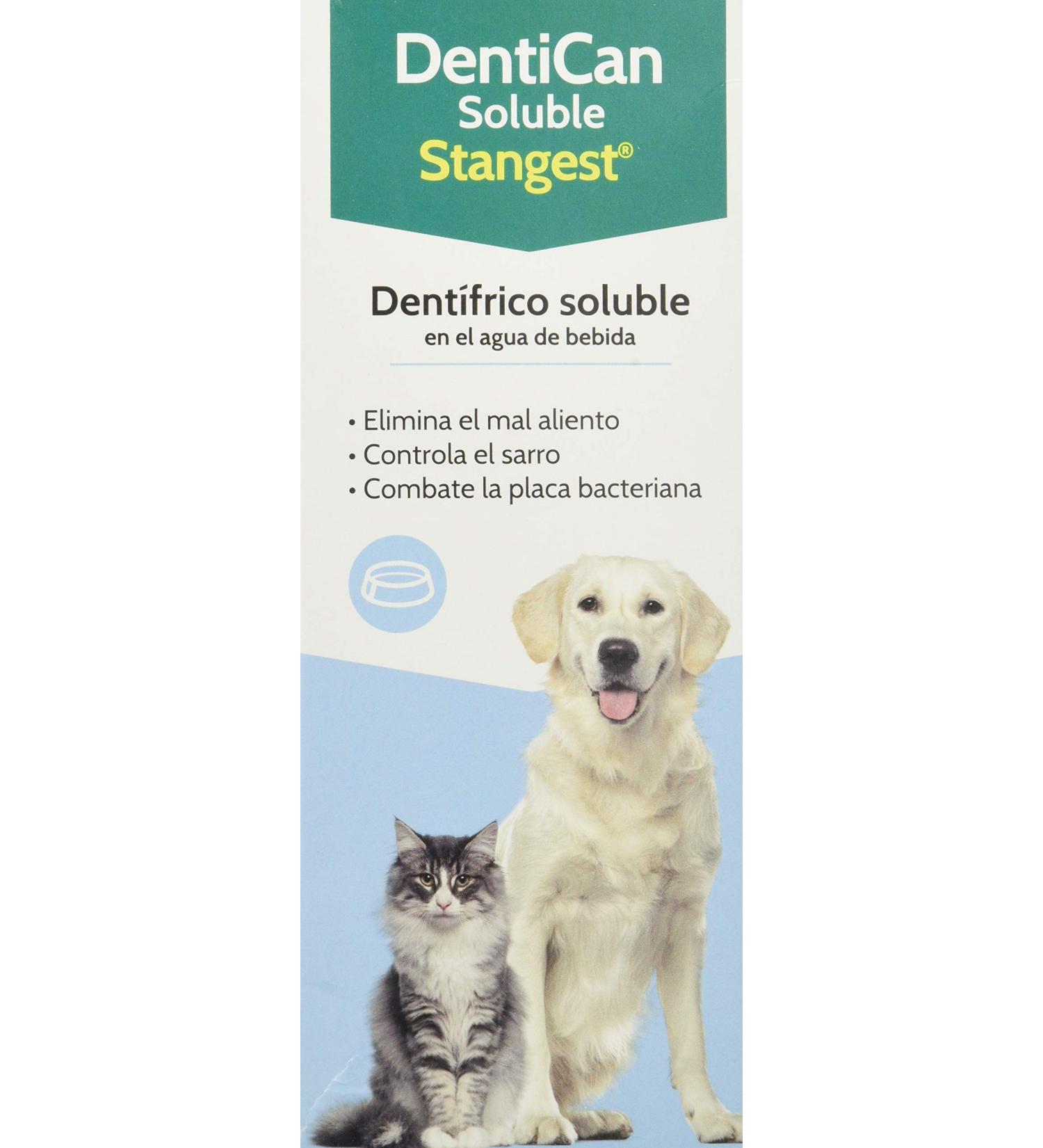 Stangest Dentican Soluble - 500 ml - Buy Online on GoSupps.com