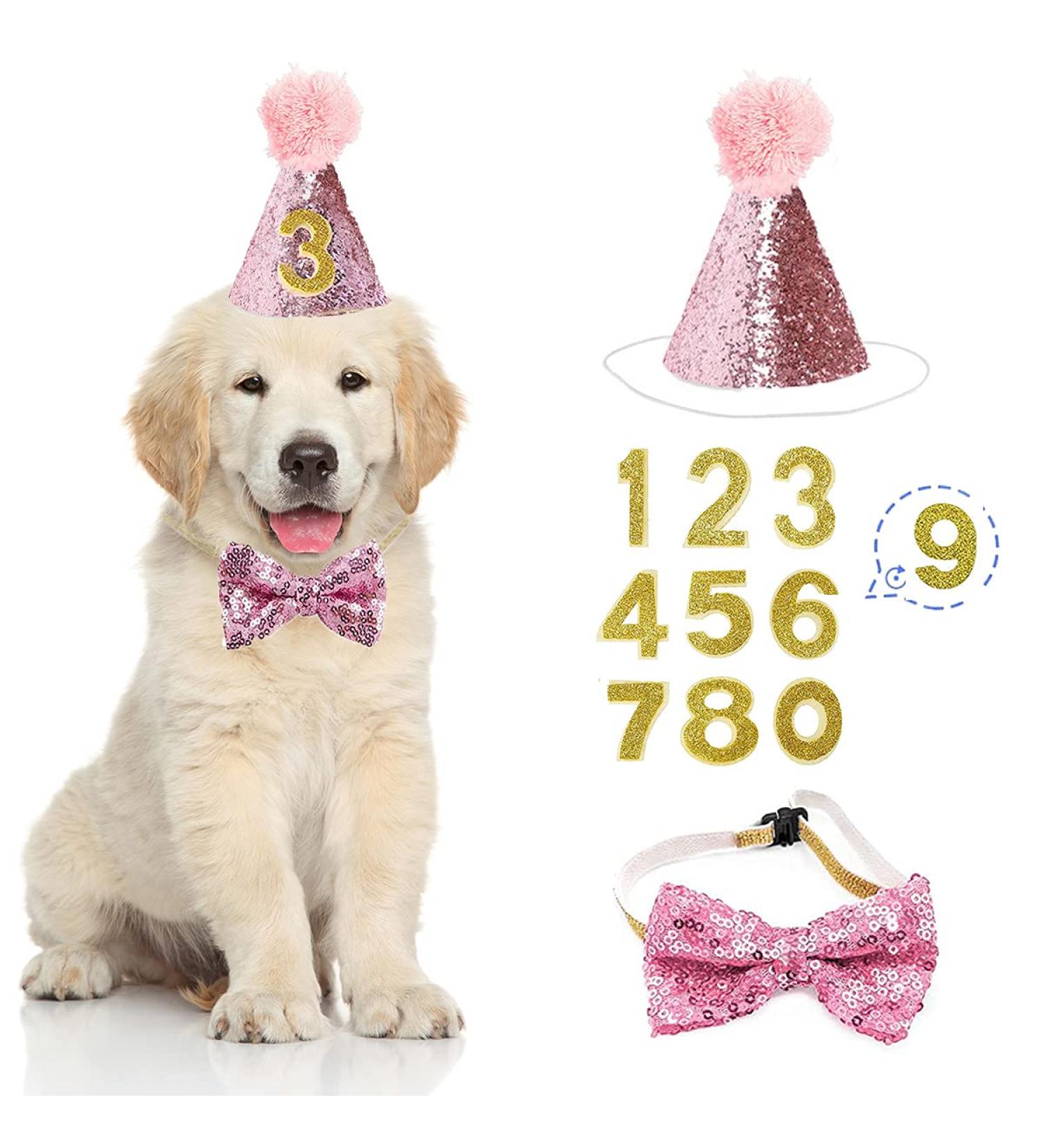 Dog Birthday Hat Dog Party Hat Kit with Bow Tie Collar and Blue Number for Pet Puppy Cat Birthday Decorations Pet Costumes Headwear Accessories 3 Pcs (Pink) - Buy Online on GoSupps.com