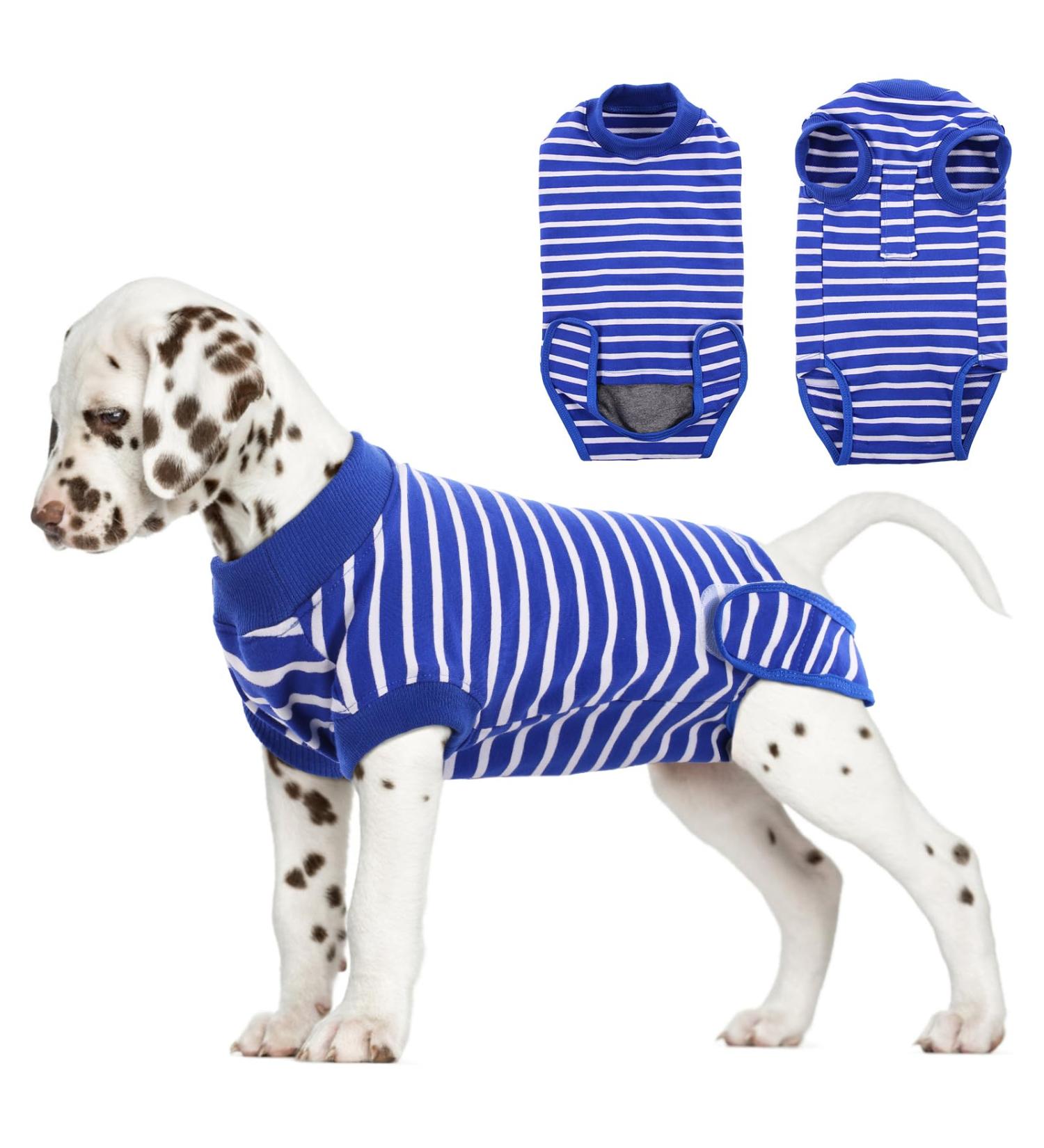 Buy Hjumarayan Dog Body After Castration | Breathable Blue & White Striped Recovery Suit for Male & Female Dogs - Buy Online on GoSupps.com