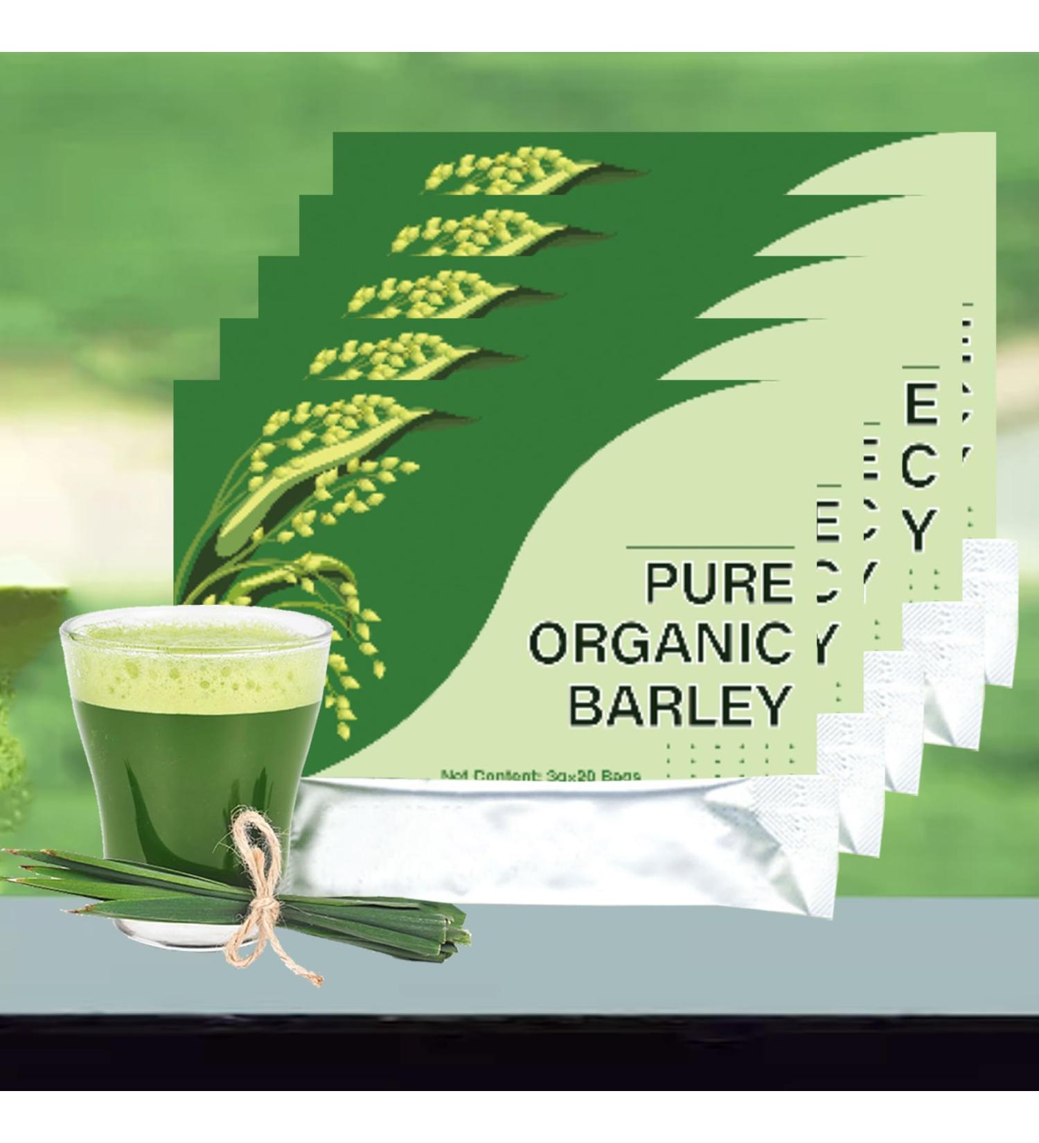 Naveta Barley Grass Powder 100% Pure & Organic Naveta Pure Organic Barley Organic Barley Grass Powder Be Good for Health Easy to Use Easy to Carry (5Box) - Buy Online on GoSupps.com