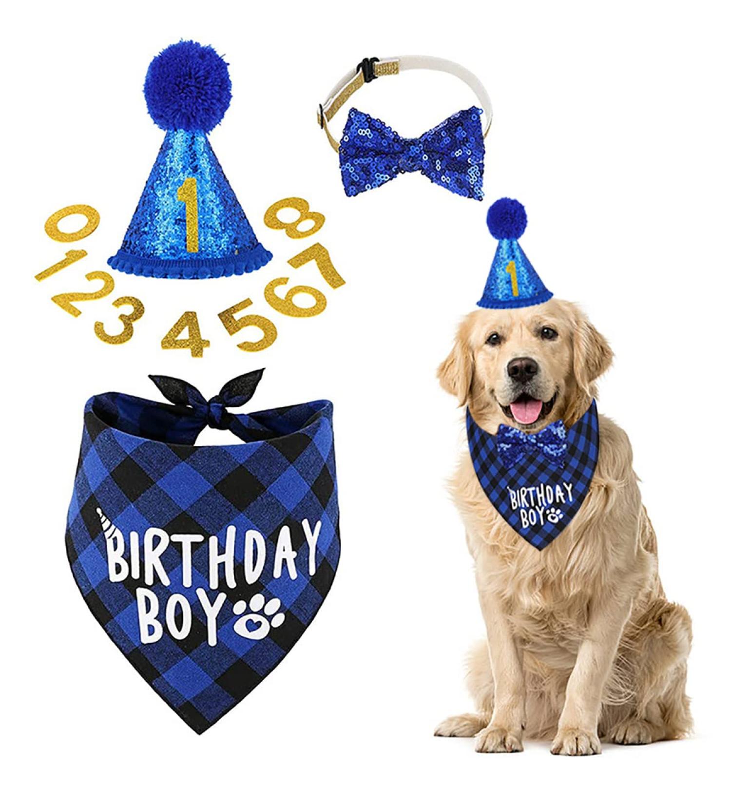 BAYINSHIDM Dog Birthday Party Supplies Bandana Dog Hat Triangle Scarf Cute Dog Bow Tie Collar (Blue) - Buy Online on GoSupps.com