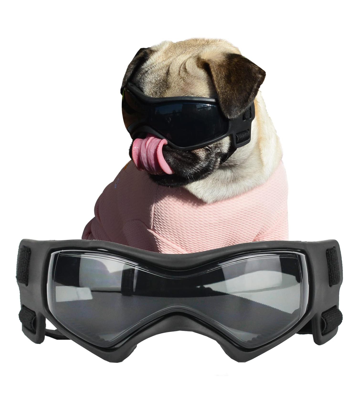 SLDPET Small Breed Dog Goggles | UV Sunglasses for Dogs with Soft Windproof Frame - Buy Online on GoSupps.com