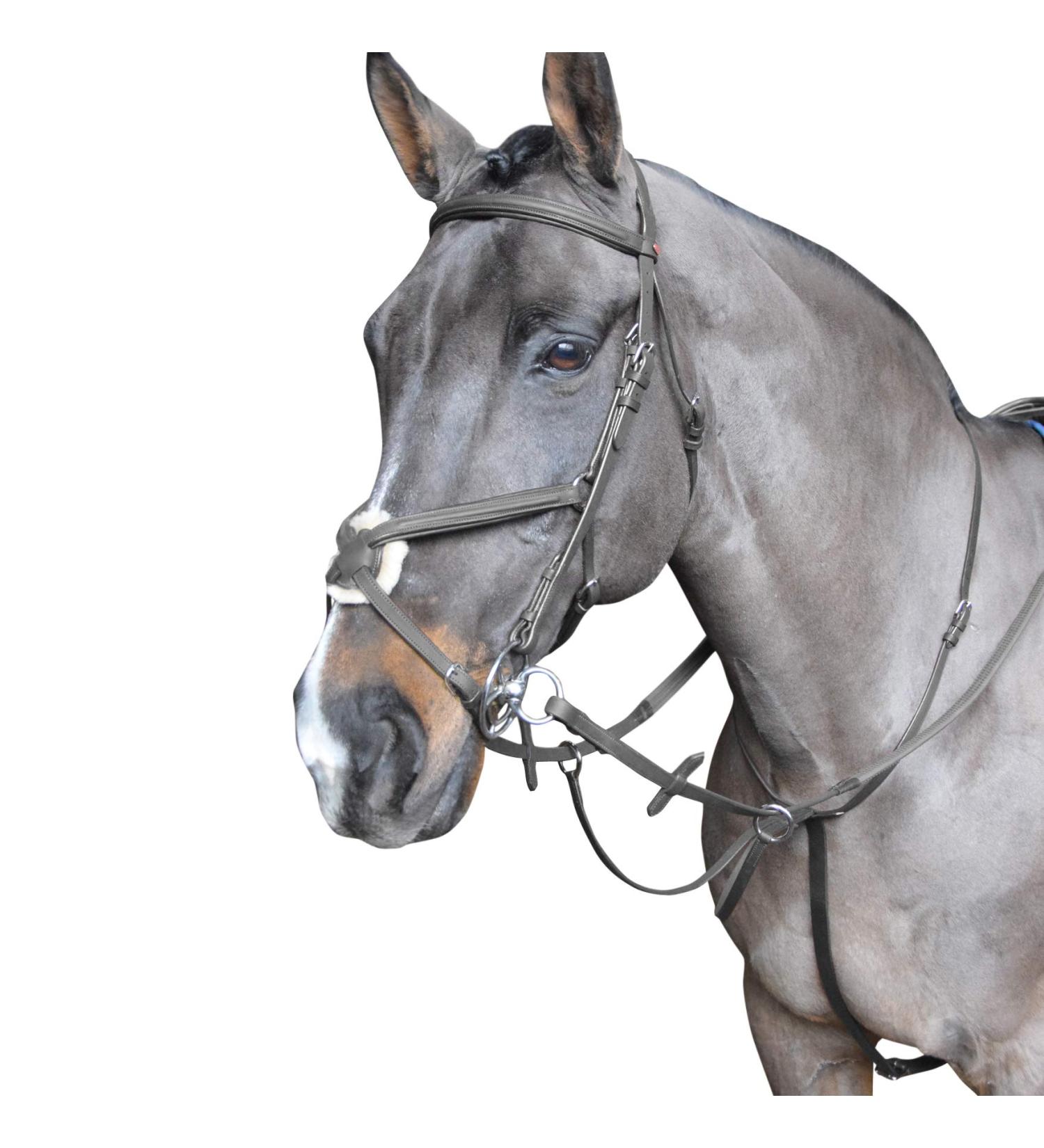 John Whitaker Ready to Ride Martingale Black Cob