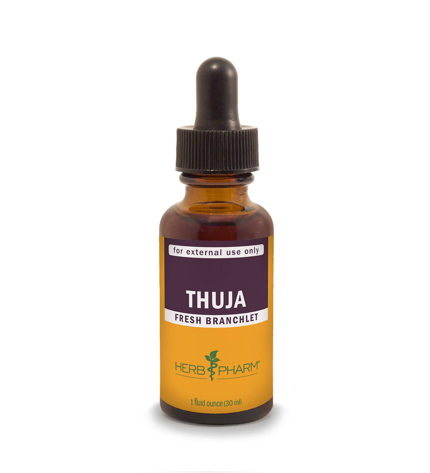 Herb Pharm Thuja 1 fl oz (30 ml) - Premium Herbal Supplement for Natural Wellness - Buy Online on GoSupps.com