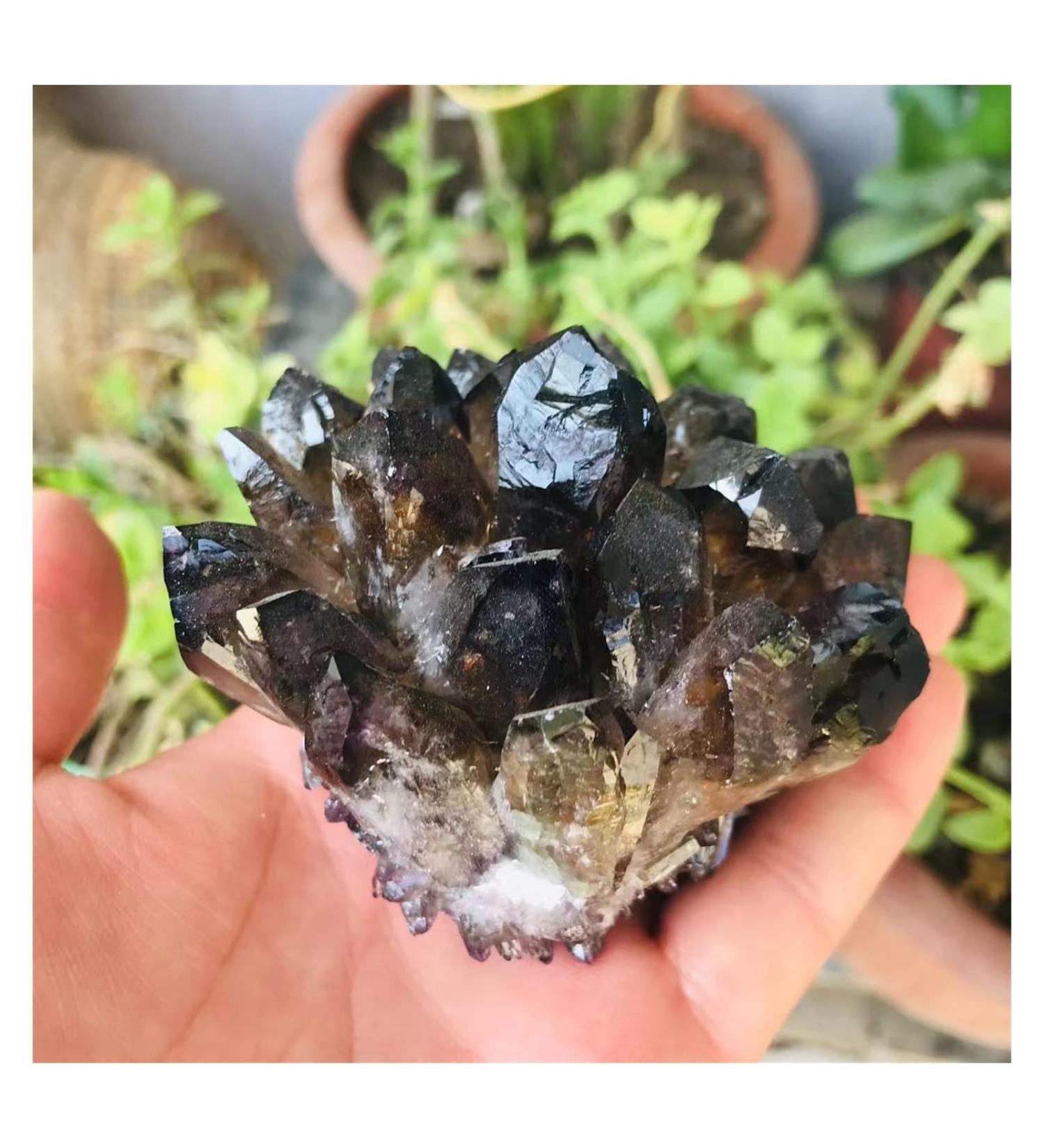 Natural Crystal Rough Black Smoky Quartz Stone Crystal Cluster 250G-650G Home Decoration Crystal Cluster (Color : 450g-550g) - Buy Online on GoSupps.com